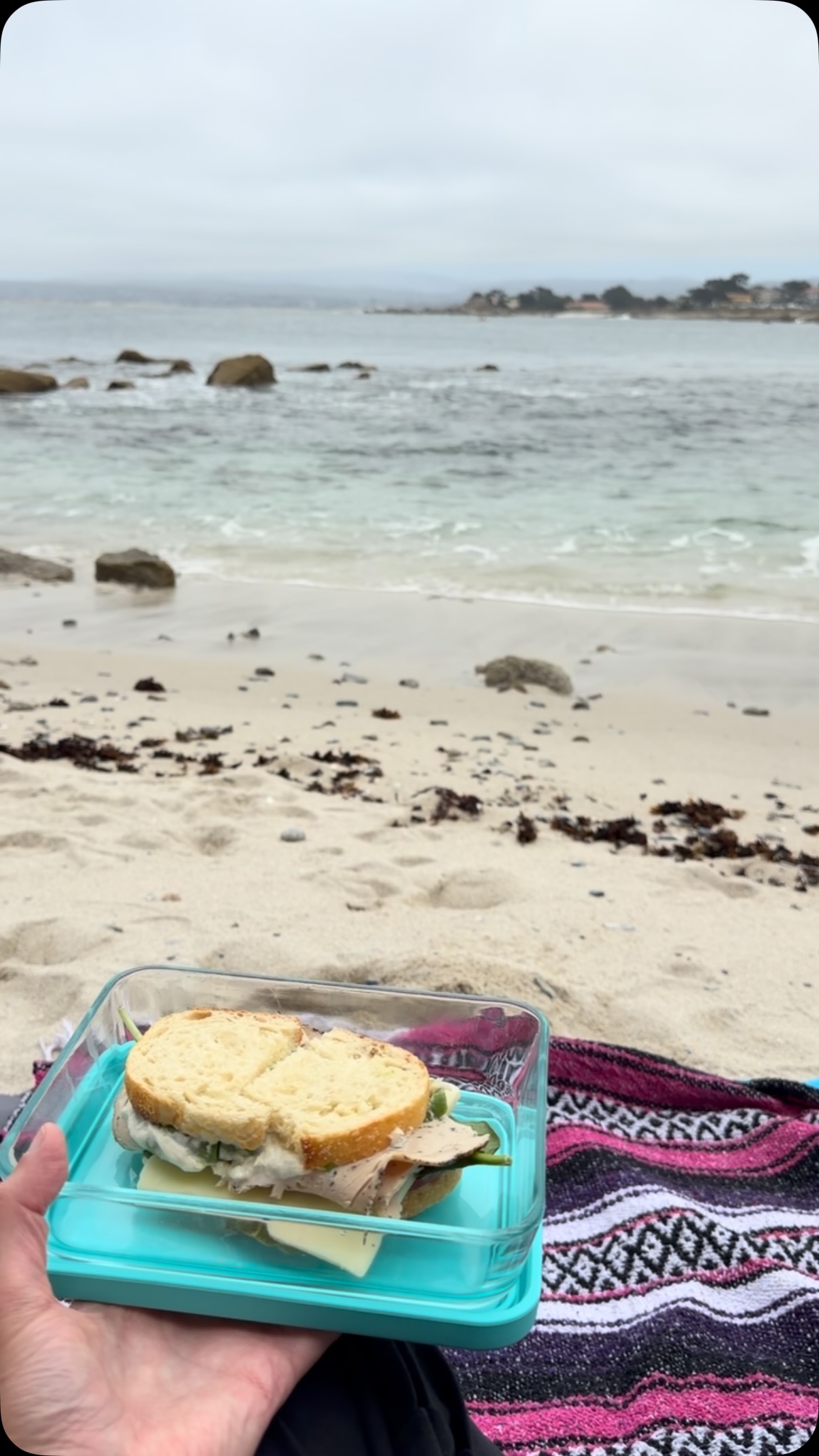 The voice in your head says take your lunch to the beach - even if it's only 30 minutes and your lunch is boring. We live in a magical place, and you deserve to enjoy it! 😌🥪🏖️
--
Ashley Edge, REALTOR
DRE #02205915 | Coldwell Banker Monterey
831-717-7815 | ashley@ashleyedge.co
ashleyedge.co