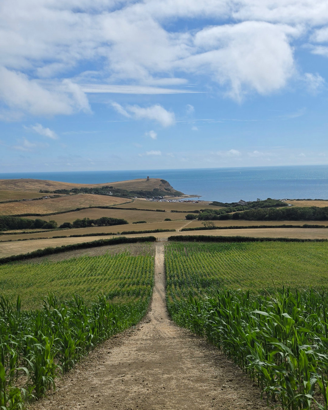 Walking is simple—but using it effectively for heart health takes more than counting steps.
The revamped guide explains how hard walking should feel, how to use Borg RPE and the talk test, how to progress time, pace and hills, and when symptoms mean you should stop.
Members also receive a four-week programme, interval options, footwear guidance, condition-specific considerations and SMART challenges.
Read the full guide / link in bio & story: https://wix.to/0BQC5Ij
#WalkingForHealth #HeartHealth #CardiacRehabilitation #Phase4 #BorgRPE #MyMovementMedicine
