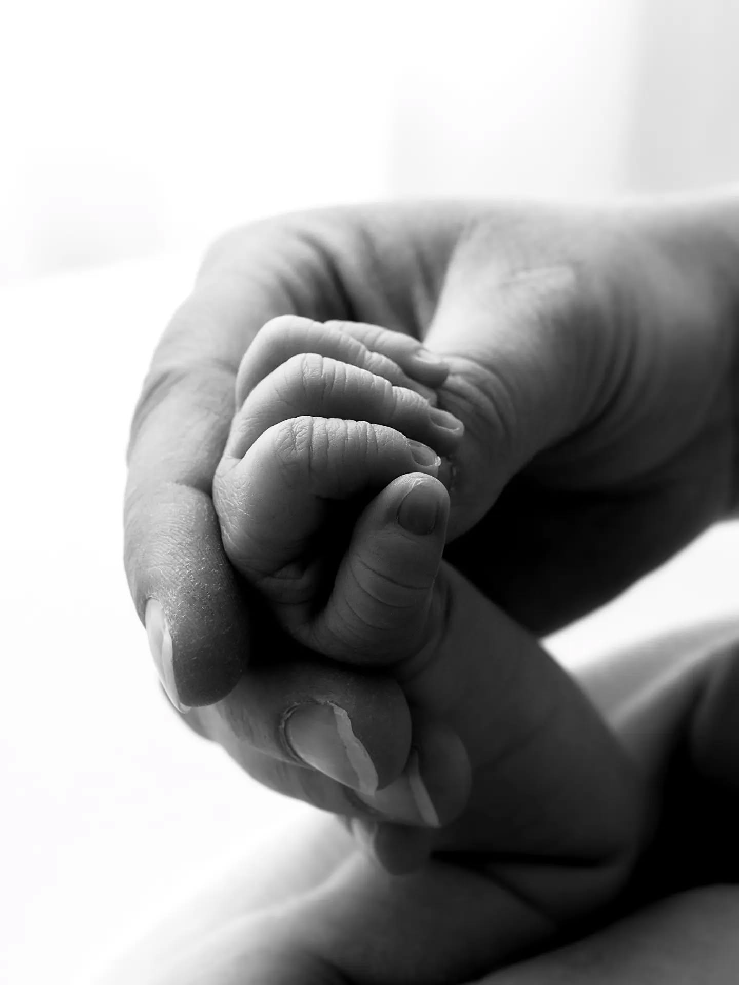 One day you'll look back at photos like this and remember how tiny they were. They grow so fast!
#tinyhandsbiglove #babycloseups #newbornphotoshootnearme #babyphotographersnearme #chesterphotographer