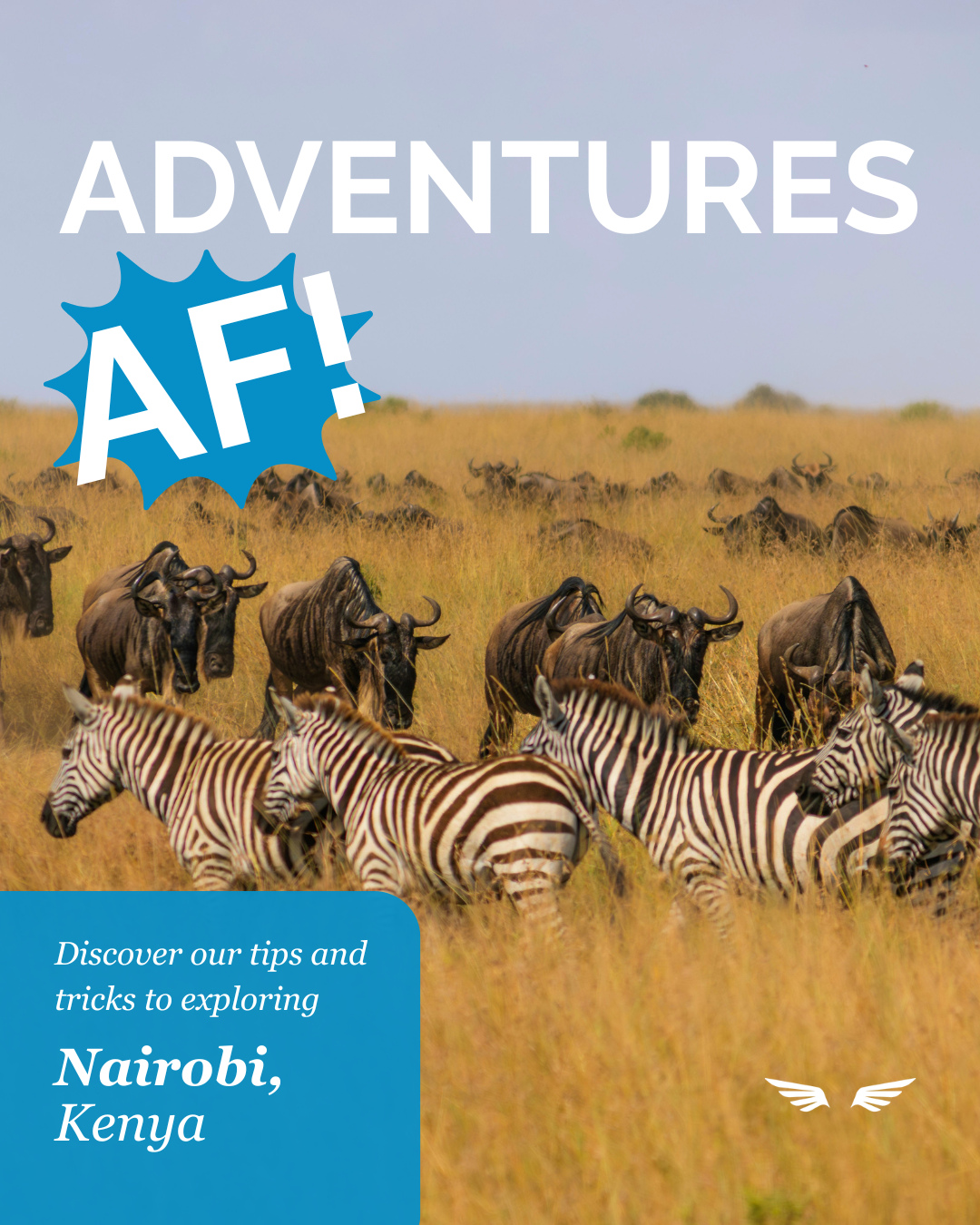 Luxury lodges, breathtaking game drives, and one of Africa's most exciting cities await. Fly to Nairobi and experience the perfect blend of adventure and comfort—all with an amazing airfare deal.
When to visit: July, August, and September for the Great Migration, see the wildebeest and zebras!
How long do you need: 7-10 days is the sweet spot to get the full experience.
Where to go: Maasai Mara Park, Lake Nakuru & Lake Naivasha, and Amboseli National Park.
What to know: Pack layers, wear neutral colors, wear comfortable clothes, bring plenty of water, invest in a dry bag, and bring good binoculars.
Selling point: Seeing the great migration is a once in a lifetime kind of experience. Witness over 1.5 million wildebeest and zebra cross the Mara River from July to October.
Save this for your clients next trip!
#travel #traveladvisor #nairobi #kenya #safari