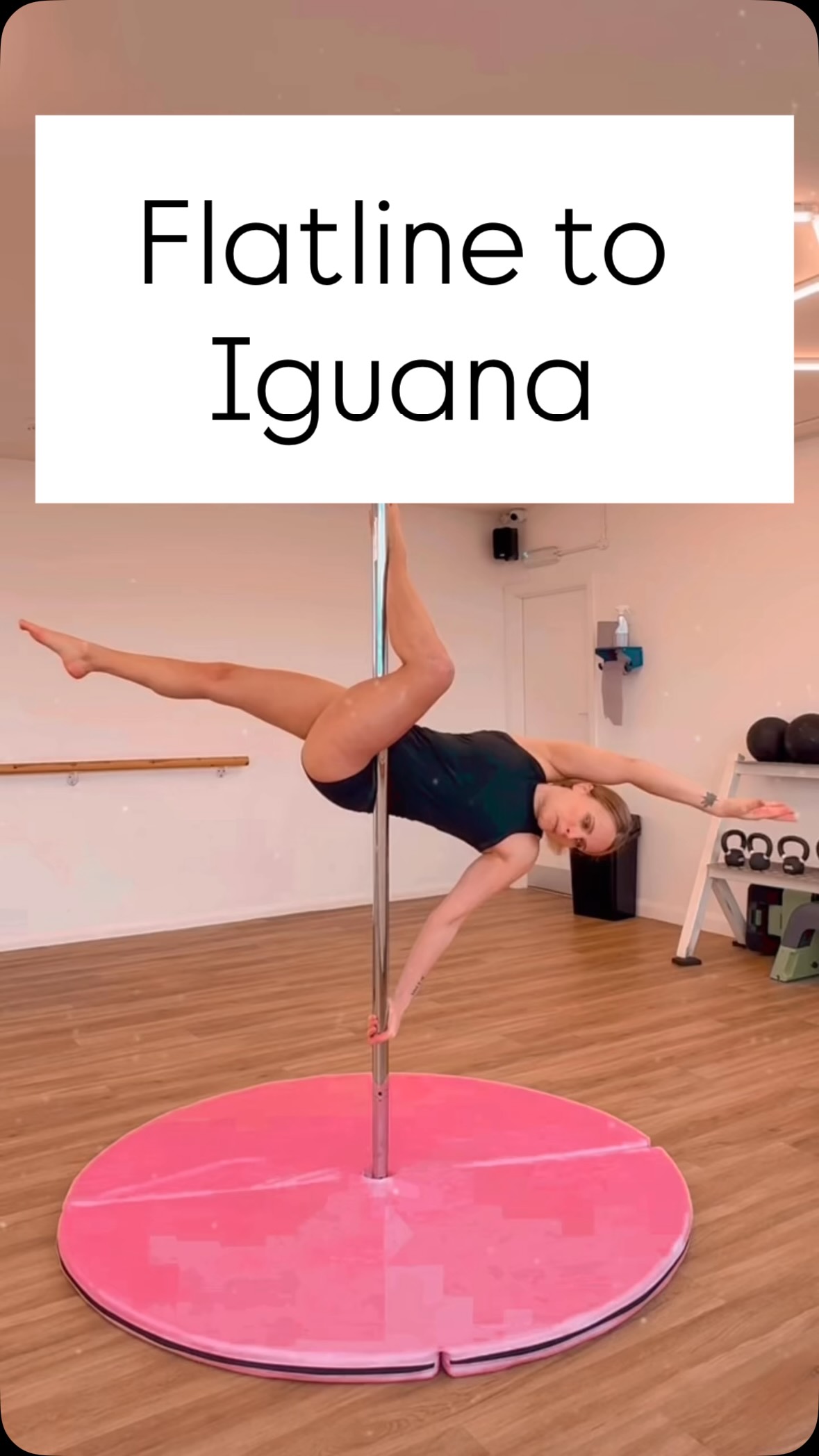 @cinderella_pole__aerial