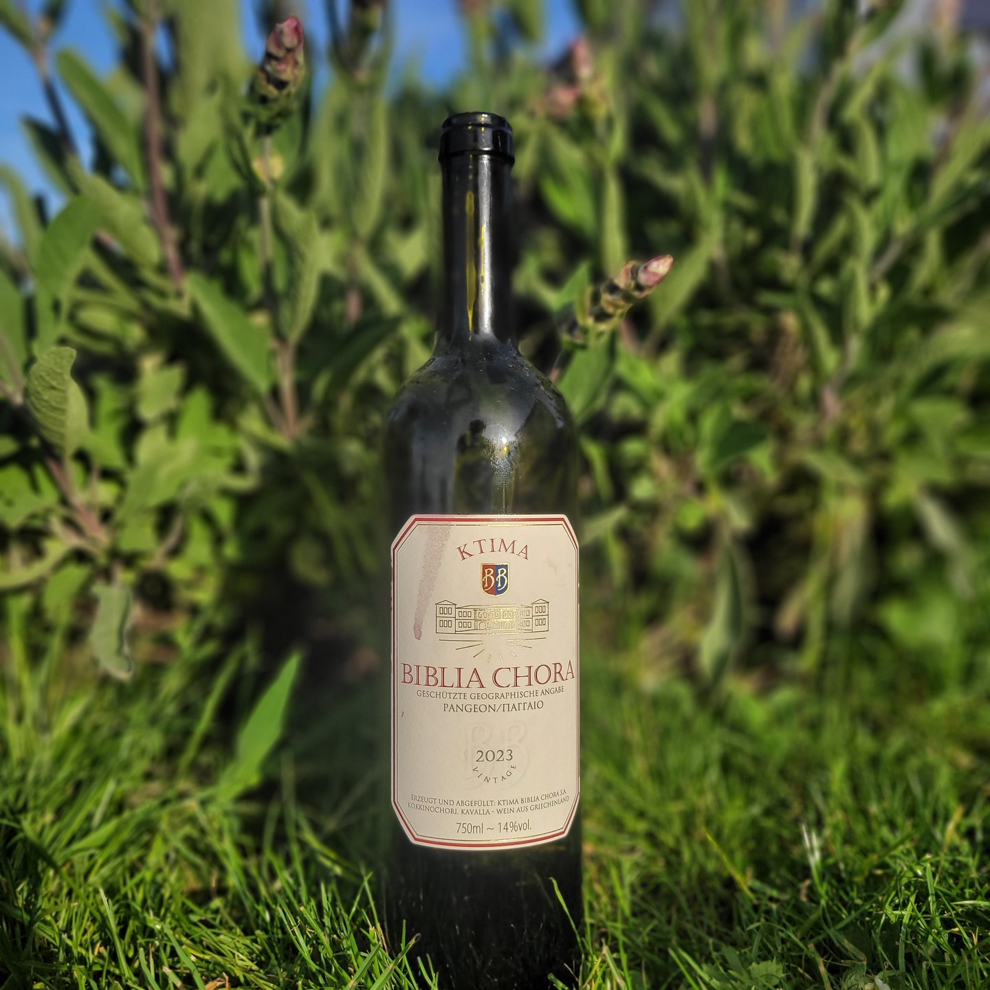 Elegant nose, but the parts never quite mesh for me.
Ktima Biblia Chora Red 2023 – PGI Pangeon, Macedonia | 90/100 🍷
@ktimabibliachora makes one of my favourite Greek estate reds, and this eponymous bottling is the most affordable red of the house, under €20, below prestige cuvées like the Ovilos. Vangelis Gerovassiliou and Vassilis Tsaktsarlis built the estate on the slopes of Pangeon near Kavala, both Bordeaux-trained (Gerovassiliou under Émile Peynaud), the cellar laid out like a Bordeaux château and organic from the start. The name echoes the ancient Biblinos wine that made Pangeon famous in antiquity.
In the glass it's a Bordeaux blend – in 2023, 40% Merlot, 40% Cabernet Sauvignon and 20% Agiorgitiko for the Greek touch – twelve months in French oak, the source of the smoky, ashy spice that is the house signature in the best years. A dependable performer across vintages: I had the 2019 at 92 points, and the 2010 still at 91+ with thirteen years on it. 2019 was the great northern-Greek reference year; 2023 sits a notch below.
I opened it in May and it left me a little undecided. The nose is genuinely elegant – cherry, a few floral notes. On the palate it tips: a powerful attack, the 14% pushing the flavour broadly ahead of it, and for all its velvet it leans too one-sidedly on the oak without turning it into that smoky, ashy spice. Only on the finish does the Merlot step out – dark olive, plenty of raspberry, a milk-chocolate depth and a still-dominant tannin. Nose, attack, middle and finish mesh a touch too little for me. A very solid vintage of a wine I hold in high regard – but it doesn't reach the 2019, and the mature 2010 had more cohesion. For me, 90 points.
More in our database of more than 500 Greek wines at griechische-weine.info.
Save this for your next under-€20 Greek red.
#GreekWine #BordeauxBlend #WinesOfGreece #OrganicWine #GreekRedWine