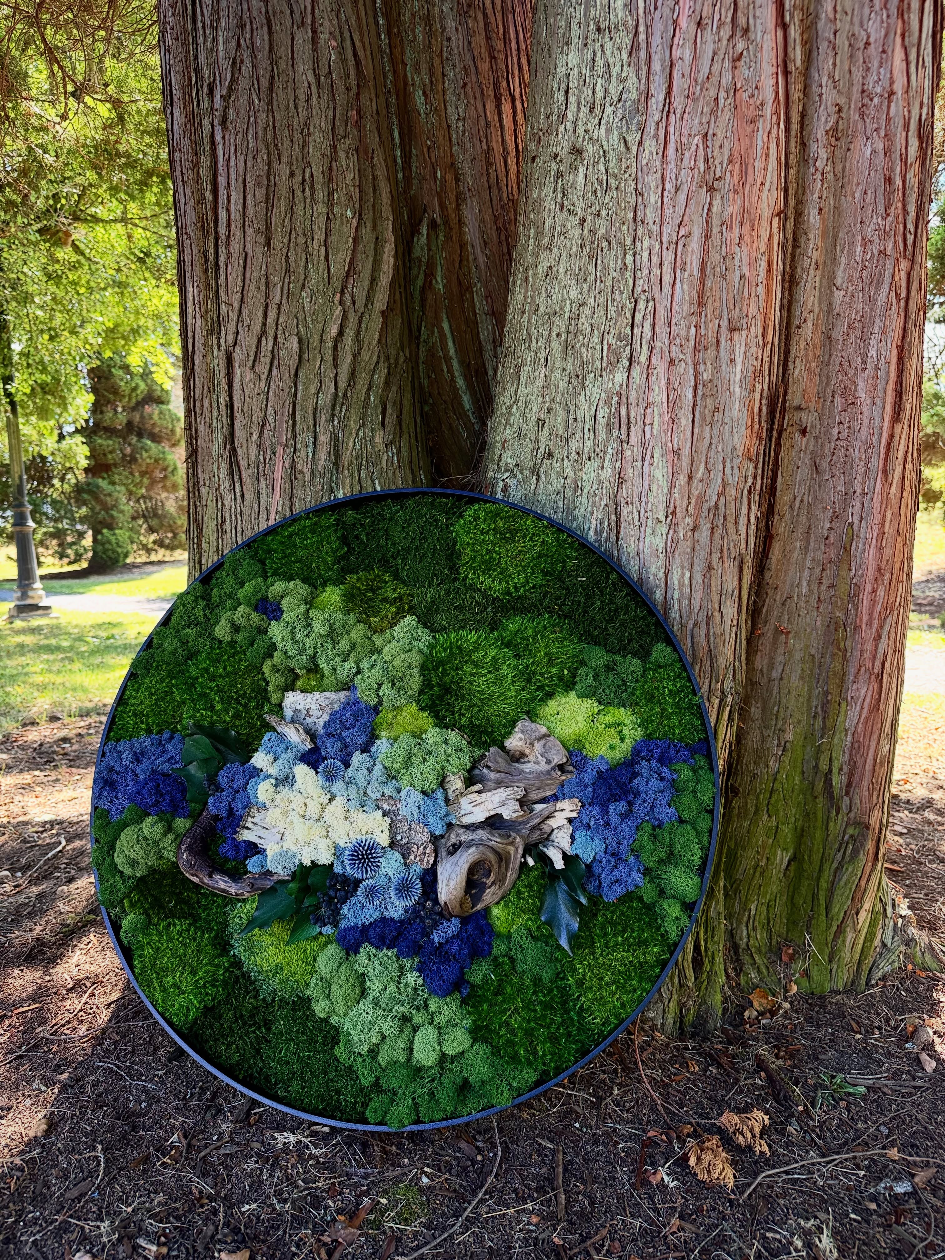 Cottage Hospice in East Vancouver is surrounded by beautiful gardens, and now that same quiet nature lives inside as well. A botanical inspired moss circle greets visitors at the entry, and in each patient’s room, a smaller piece sits within view of the bedside.
Being able to bring this kind of work into a place that will hold someone’s last days, surrounded by the people they love, is something that sits close to my heart in a way I don’t think I’ll ever fully get used to. I’m grateful to have been trusted with a space this meaningful.💚
📍 Cottage Hospice, East Vancouver
#biophilicdesign #mossart #hospicecare #preservedmoss #naturebringshome