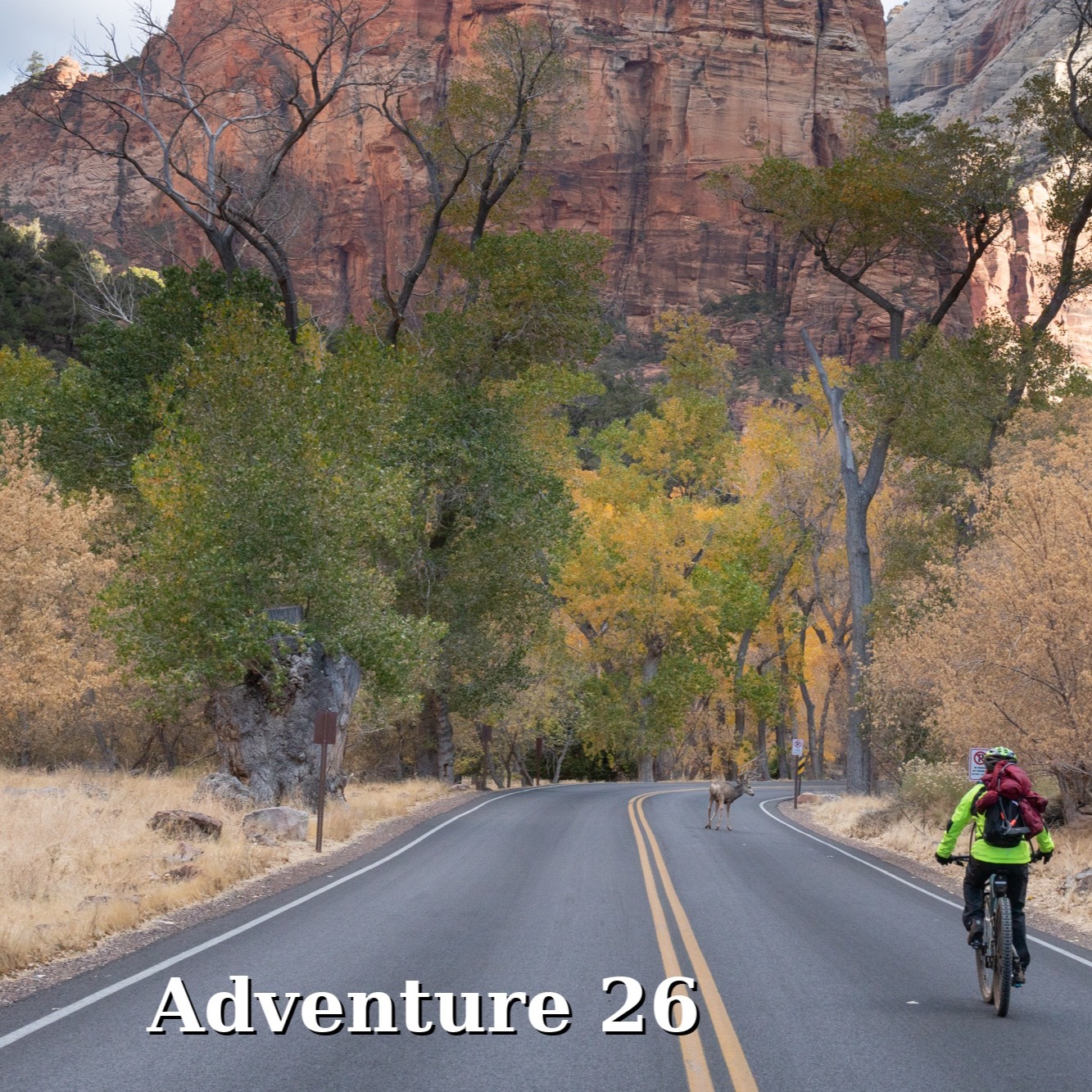 Ebiking in Zion National Park - Adventure number 26 (of 50) in my new book.
#zionnationalpark #zionebike #ebikezion #bikezion #zionbiking #outdooradventures