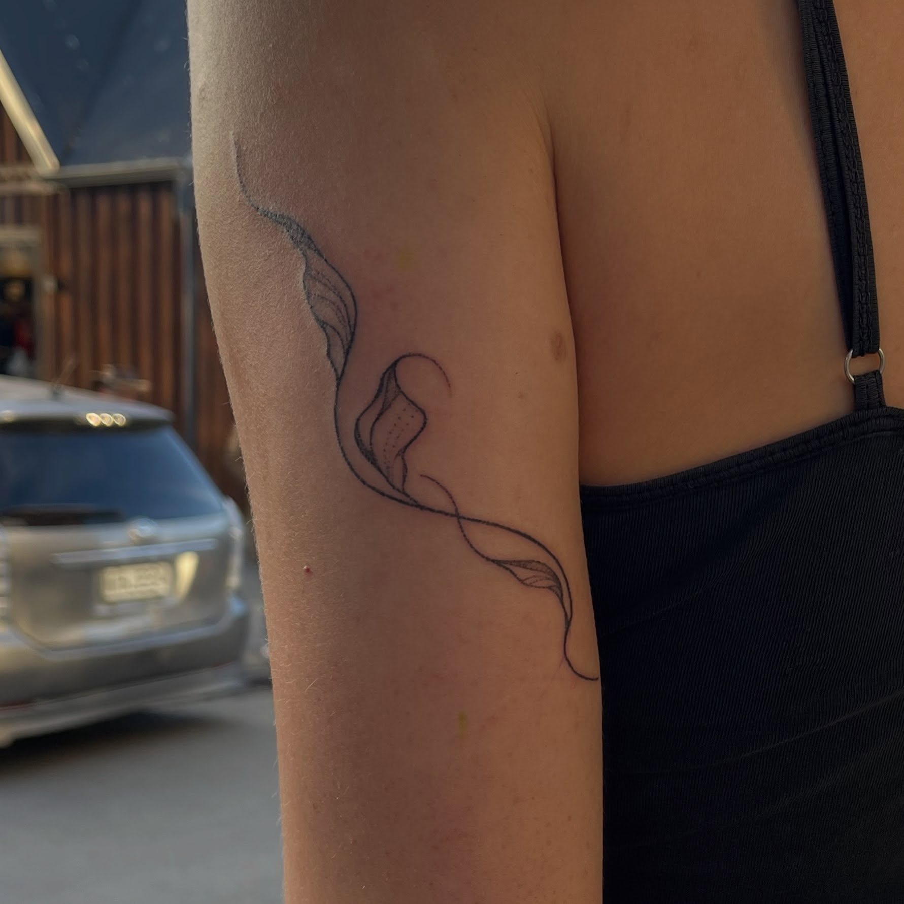 Handpoked tattoo by @tendertattzz, to book a handpoked tattoo with Kylie send her a dm or pop into the studio. She has some pace to tattoo this week and next
#handpoked #stickandpoke #wanakatattoo