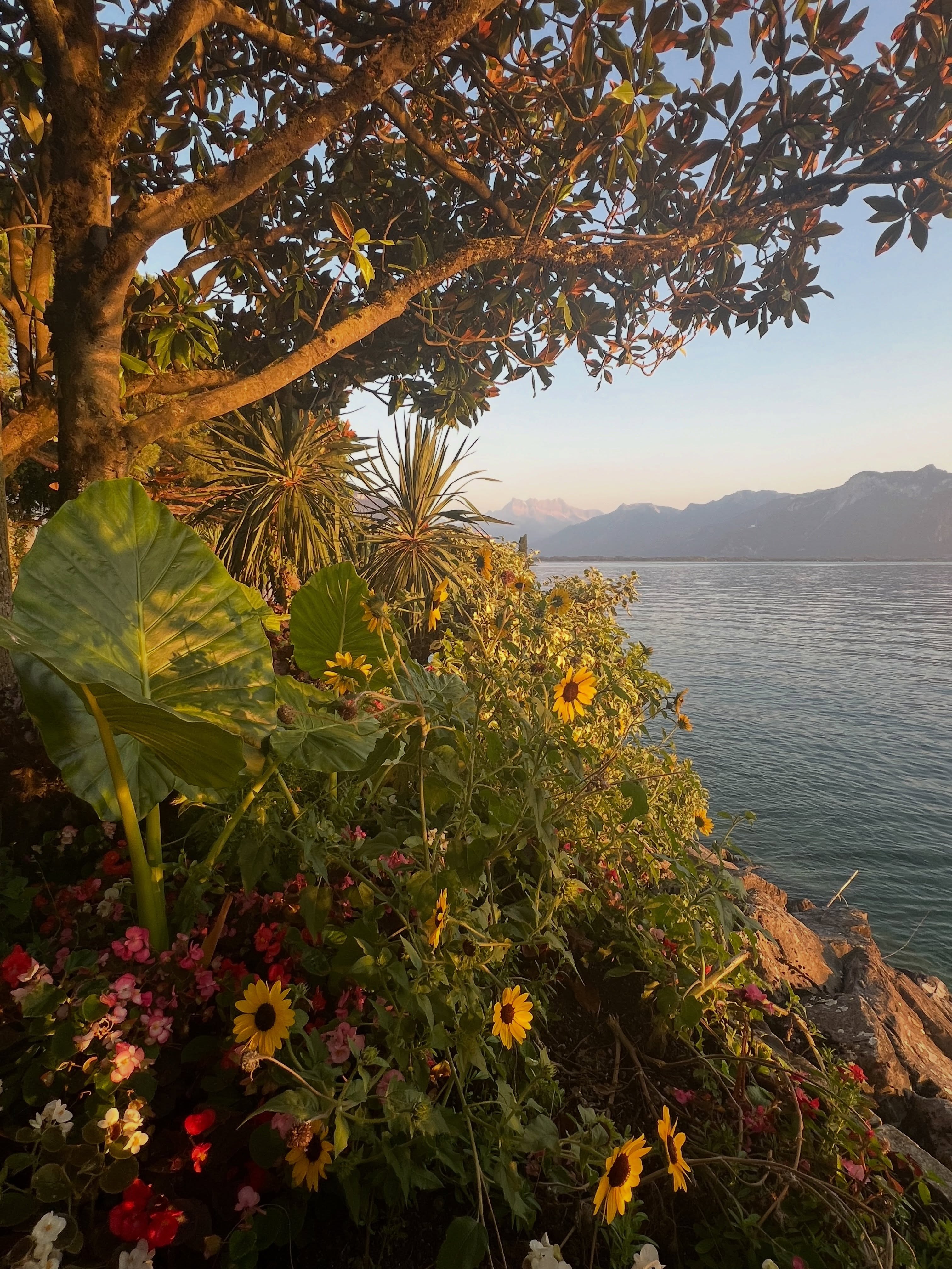 When the sun goes down in Montreux… #wanderdestination #montreux #suisse #lakegeneva @wanderdestination