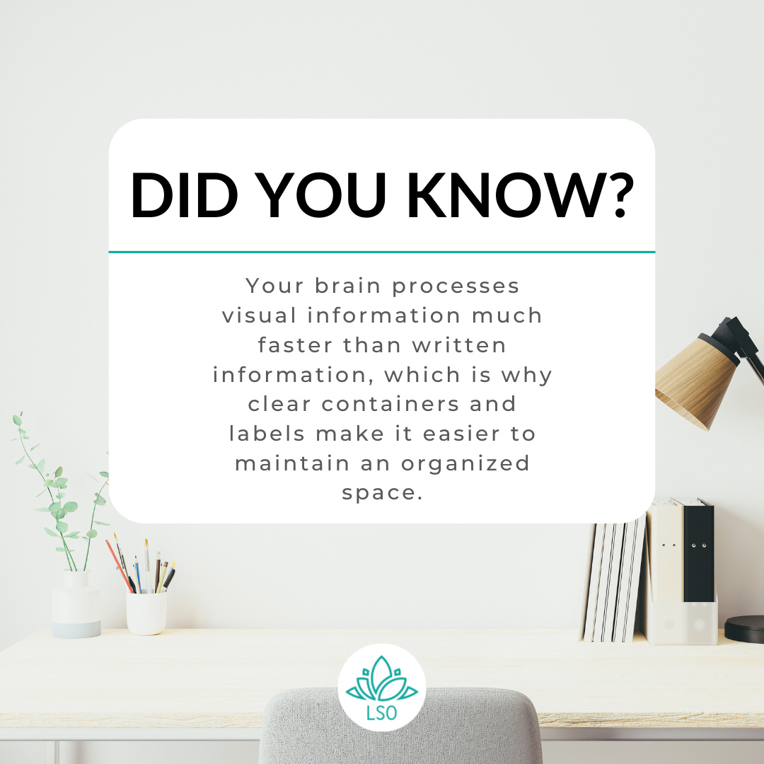 ✨ Organizing isn't just about making things look pretty — it's about making your home work with your brain.
Using clear bins, labels, and dedicated spaces for everyday items can reduce decision fatigue, save time, and make it much easier to keep your home tidy long-term.
Sometimes the smallest changes create the biggest transformations. 🏡✨
#homeorganization #professionalorganizer #organizedhome #declutteryourhome #organizedliving #homeorganizationtips #homeorganizing #organizationideas #clutterfree #simpleliving #organizedspaces #storageideas #movingtips #movemanagement #homeinspiration