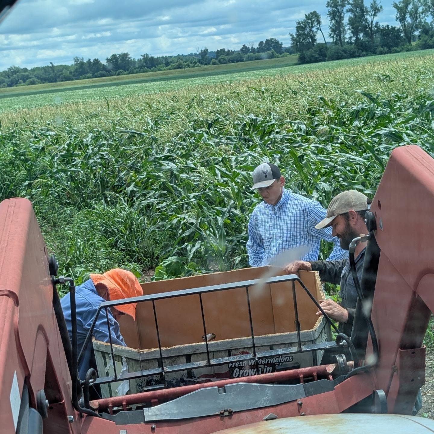 We had a busy night of sweet corn picking.๐ฝ You can get some of our fresh picked, all-white sweet corn tomorrow at @parkvillefarmersmarket @lvfarmersmarket & @citymarketkc