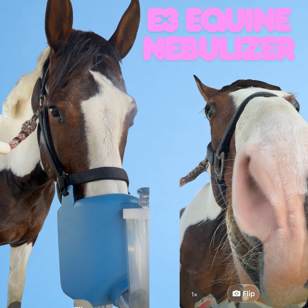 Did you know we even sell Nebulizers? ๐คฉ
The flexible mask is lightweight, portable, and silent ๐คซ making it perfect for use at home and on the road.
The Flexineb helps to treat common respiratory conditions which are exacerbated by seasonal changes, frequent travel, or allergies.
Visit our site to order yours today
#nebulizer #horsecare #horsegirl #socal #allergies