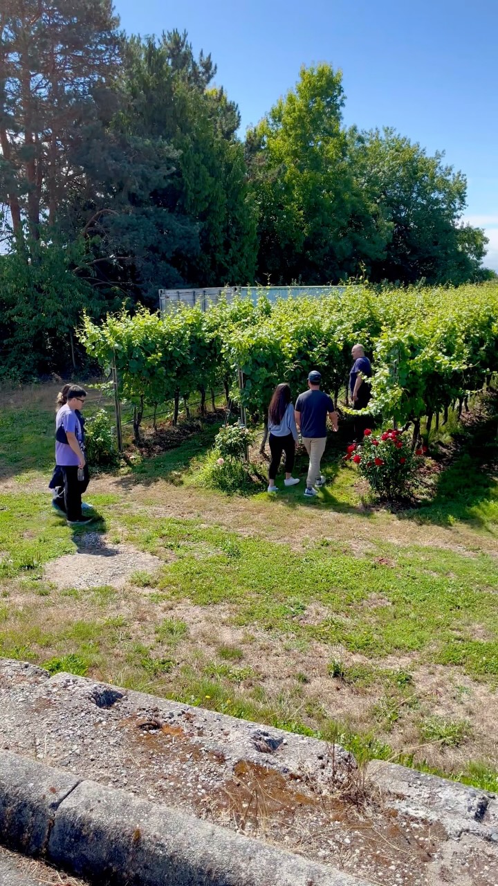 Happy August! 🤗🍇🌿
The rain stopped early today and we’re shaping up for a busy but awesome weekend here in Richmond. Can’t wait for Morning Movement: Slow Flow Yoga and the start of our Summer Picnic Series events with live music tomorrow! Arrive early for wine tastings 🍷