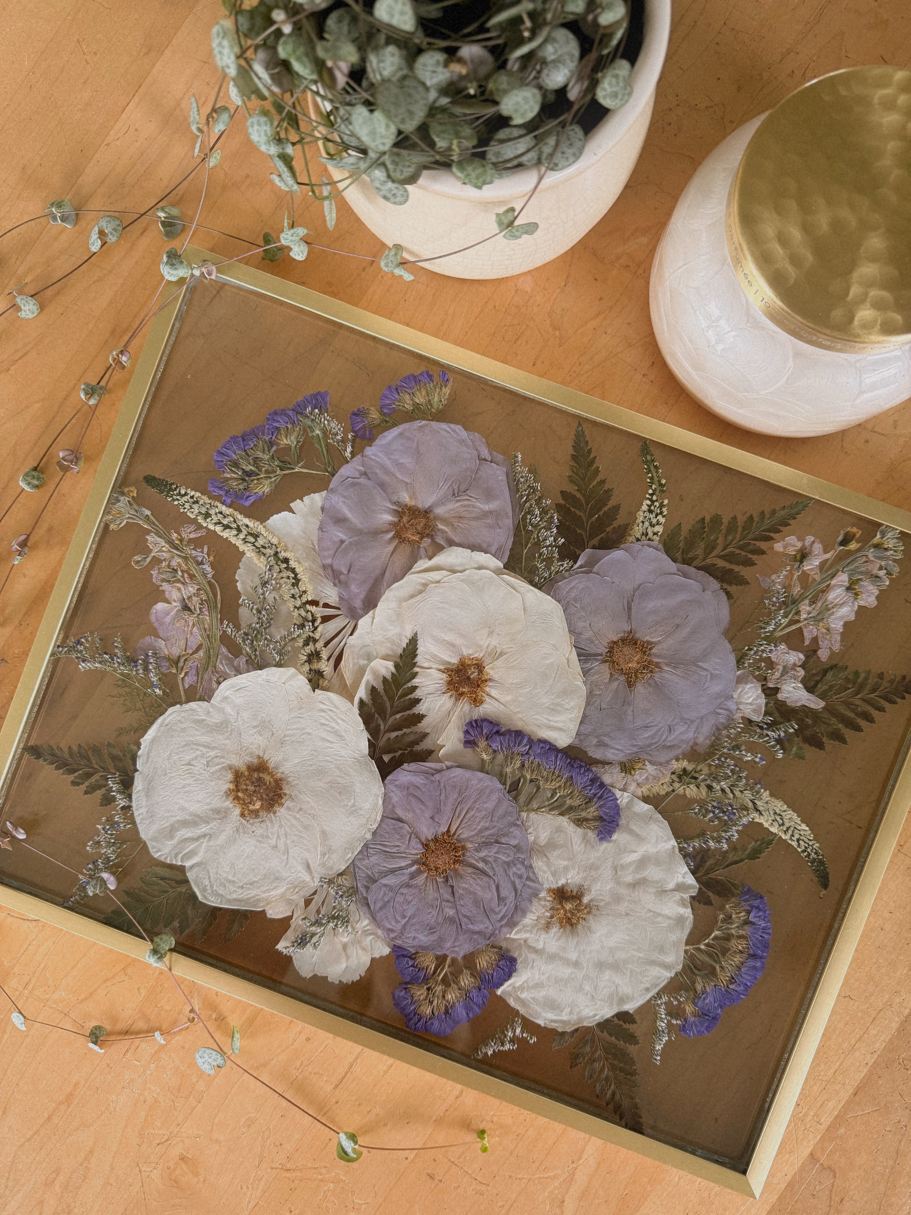 Happy Monday! Starting the week with a little gold ✨This 11×14 gold float frame is forever a favorite and for good reason. Brides, this is your sign to preserve the bouquet you’ll never want to part with. Save this for later 🤍
#weddingbouquetpreservation #pressedflowers #preservedflowers
pressed wedding flowers, wedding bouquet preservation, pressed wedding bouquet, flower preservation, bouquet pressing, pressed floral art, bridal bouquet keepsake, wedding flower keepsake, real flower artwork, custom flower preservation, hand pressed flowers, heirloom bouquet art, wedding day flowers, bridal keepsake, timeless florals, dried wedding flowers, flower pressing artist, custom floral frame, preserved wedding florals, handmade wedding keepsake