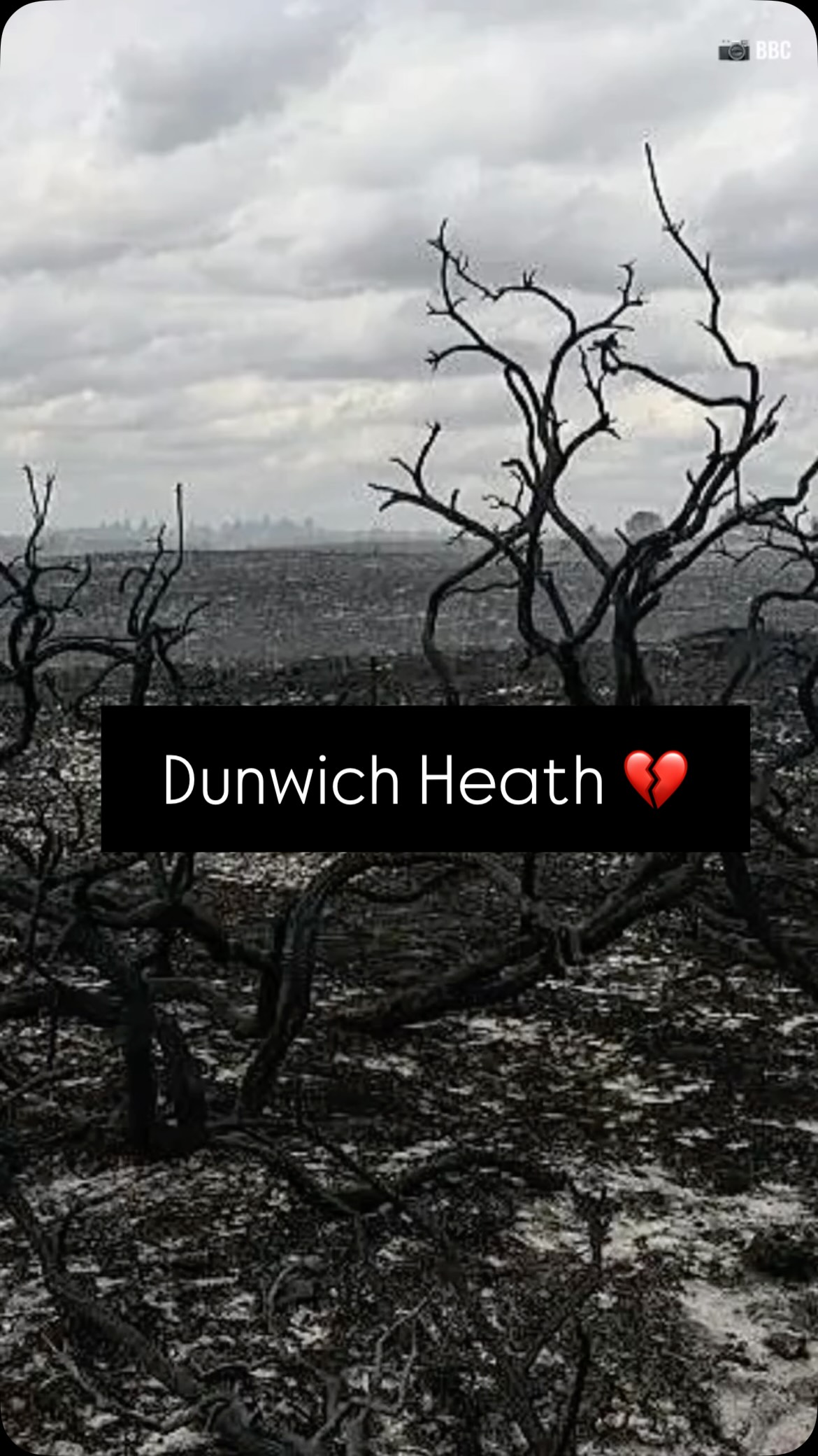 Ok, cycled through some phases of grief here I think, but seriously, can our government please help us to not all die in an apocalyptic wasteland please?
Before anyone writes the word āarsonā in the comment section, Dr Zakary Campbell-Lochrie, a fire-science expert from the University of Edinburgh (aka someone who undoubtedly knows better than you) said that recent weather events across the UK have created āstrong drying conditions for vegetation, which can subsequently be highly susceptible to ignition and can present a much greater danger when fires do occurā.
āLowland Heath is one of the rarest habitats in the country, with an estimated 92% lost in England over the last 120 yearsā - @nationaltrust
Big love to @suffolkfrs - Thank you for your incredible work, so grateful to you
š· Drone footage: @sapsford.uk
@eastofenglandnt @ntdunwichheath @rspbminsmere
#dunwich #wildfires #heatwave #fossilfueltreaty #suffolk