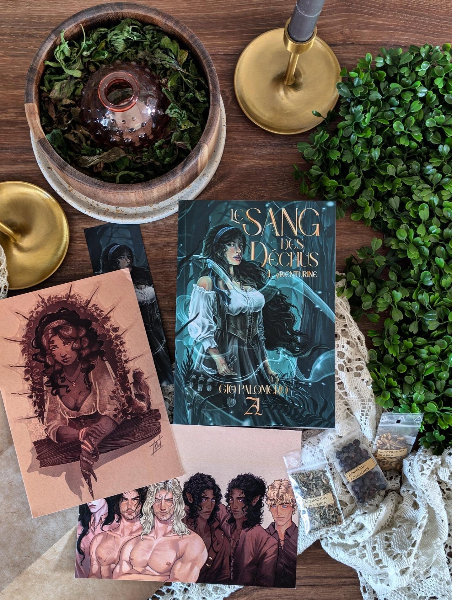 ✨ Le Sang des Déchus, tome 1 : Aventurine - Gio Palomero ✨
Préparez-vous à plonger dans une fantasy très ambitieuse mais foncièrement addictive... et ne vous laissez pas impressionner par son nombre de pages !
J'avoue qu'en découvrant ce premier tome, je me suis demandé si ces presque 900 pages allaient réussir à me captiver. Finalement, une fois lancé, j'ai eu beaucoup de mal à le reposer. On peut dire que la magie a opéré.
On découvre un univers riche, peuplé de différentes espèces et porté par un véritable travail de worldbuilding. J'ai pris énormément de plaisir à explorer ce monde et à en apprendre davantage sur ses peuples, ses pouvoirs et ses enjeux. On sent que tout a été pensé dans les moindres détails.
Mais ce qui m'a le plus convaincu, ce sont les personnages. Andromeda est entourée de compagnons très différents les uns des autres, et voir leurs liens se construire est sans doute ce que j'ai préféré. Les relations prennent leur temps, les personnalités se dévoilent peu à peu et cette dynamique de groupe fonctionne vraiment très bien. On s'attache assez rapidement aux personnages pour le coup...
J'avais aussi quelques appréhensions en voyant que le roman était présenté comme un harem inversé. Finalement, ce premier tome mise davantage sur les émotions, les regards, les tensions et l'alchimie entre les personnages que sur le côté spicy. Et je trouve que c'est justement ce qui le rend aussi prenant.
L'action n'est jamais bien loin et vient équilibrer les moments plus calmes consacrés au développement des personnages. Résultat : malgré son imposant volume, je ne me suis jamais ennuyé.
Disons simplement que refermer ce livre donne envie d'avoir le tome suivant entre les mains.
En bref, Le sang des déchus est une excellente entrée en matière. Une fantasy généreuse, portée par des personnages auxquels on s'attache très vite. Si vous aimez les univers riches et les relations qui prennent le temps de s'installer, je pense que cette saga pourrait bien vous séduire.
À découvrir chez @alecto.editions !
#Bookstagram #LeSangDesDéchus #Aventurine #GioPalomero #Fantasy