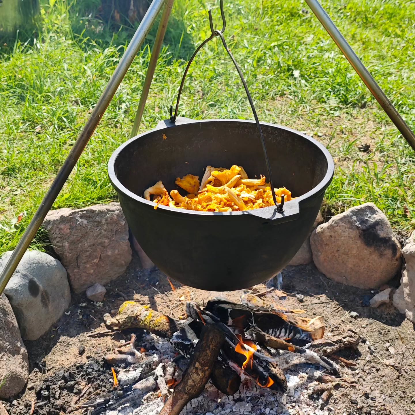 There’s something special about cooking over an open fire 🔥👌
#campsitelithuania #summerseason #campingsummer #ykdcamping #relaxhere