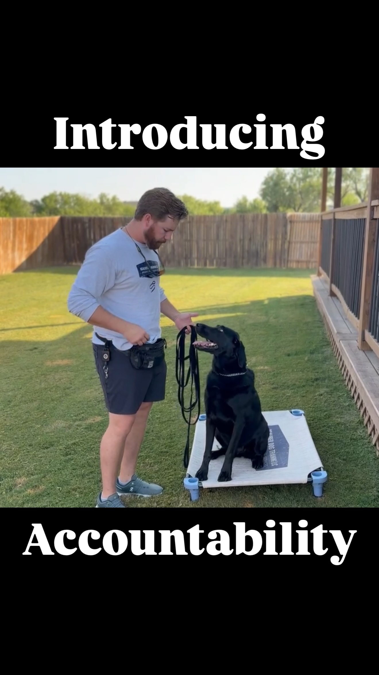 š¾Maverick has already put in the work learning his obedience. Now weāre taking the next step: introducing accountability.
Once a dog clearly understands whatās being asked, the leash becomes a communication tool to help them make better choices. Timing and fairness are everything.
One of the biggest mistakes owners make is correcting a dog that doesnāt truly understand the task yet. Set them up for success first, then build consistency.
Excited to show you Maverickās progress over the next few weeks! šŖ