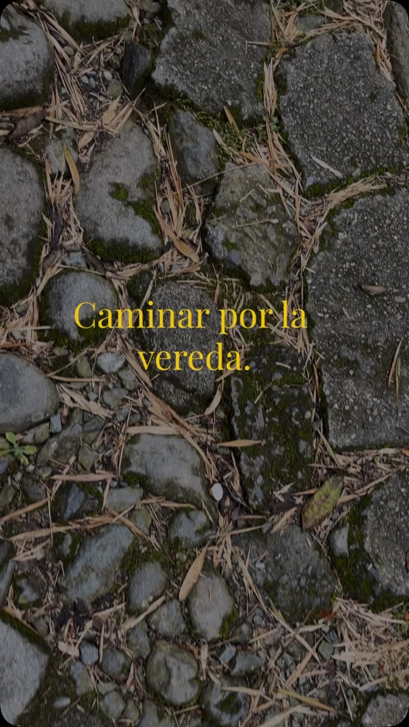 La vereda tiene tantas historias como el bosque. Te llevamos a caminar con nosotros 🥾🌄
Paraíso Verde no termina en la puerta de la casa. La vereda que nos rodea tiene historias, vecinos y oficios que merecen conocerse: hoy visitamos a algunas de las personas con las que compartimos el territorio. Otra forma de sentir Manizales, más allá del hotel.
ENG /
The village trail has as many stories as the forest. Join us for a walk 🥾🌄
Paraíso Verde doesn’t end at the front door. The village trail that surrounds us holds stories, neighbors, and crafts that deserve to be discovered: today we visited those who share this land with us. Another way to feel Manizales, beyond the hotel.
#ParaisoVerdeManizales #Manizales #Caldas #TurismoRural #Ecoturismo