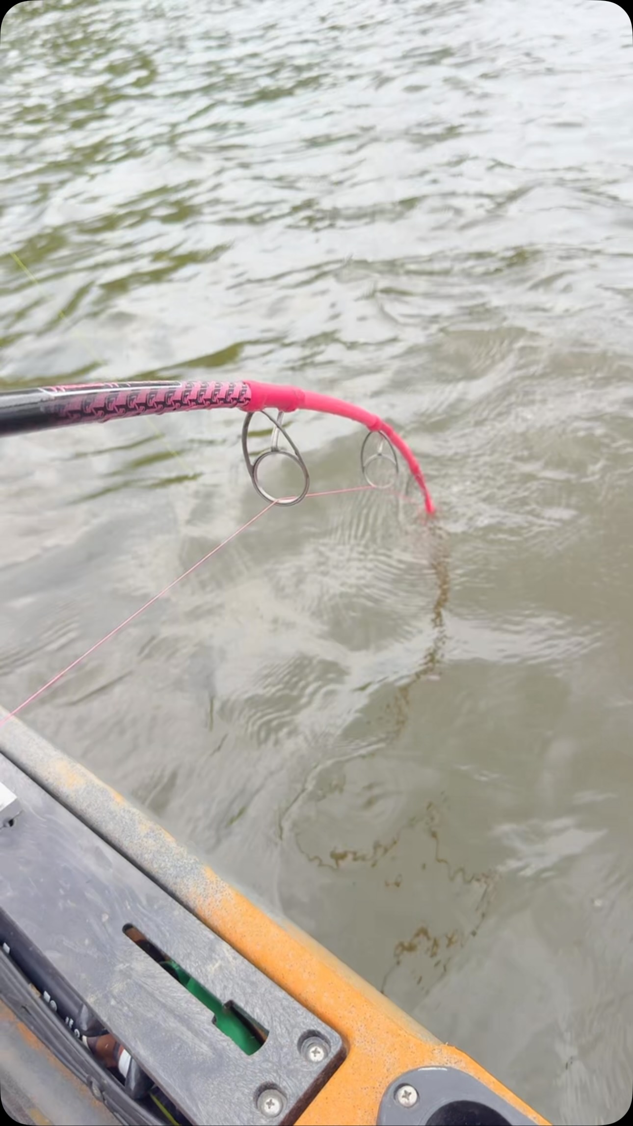 Big catfish is tugging back! #catfishing #riverfishing