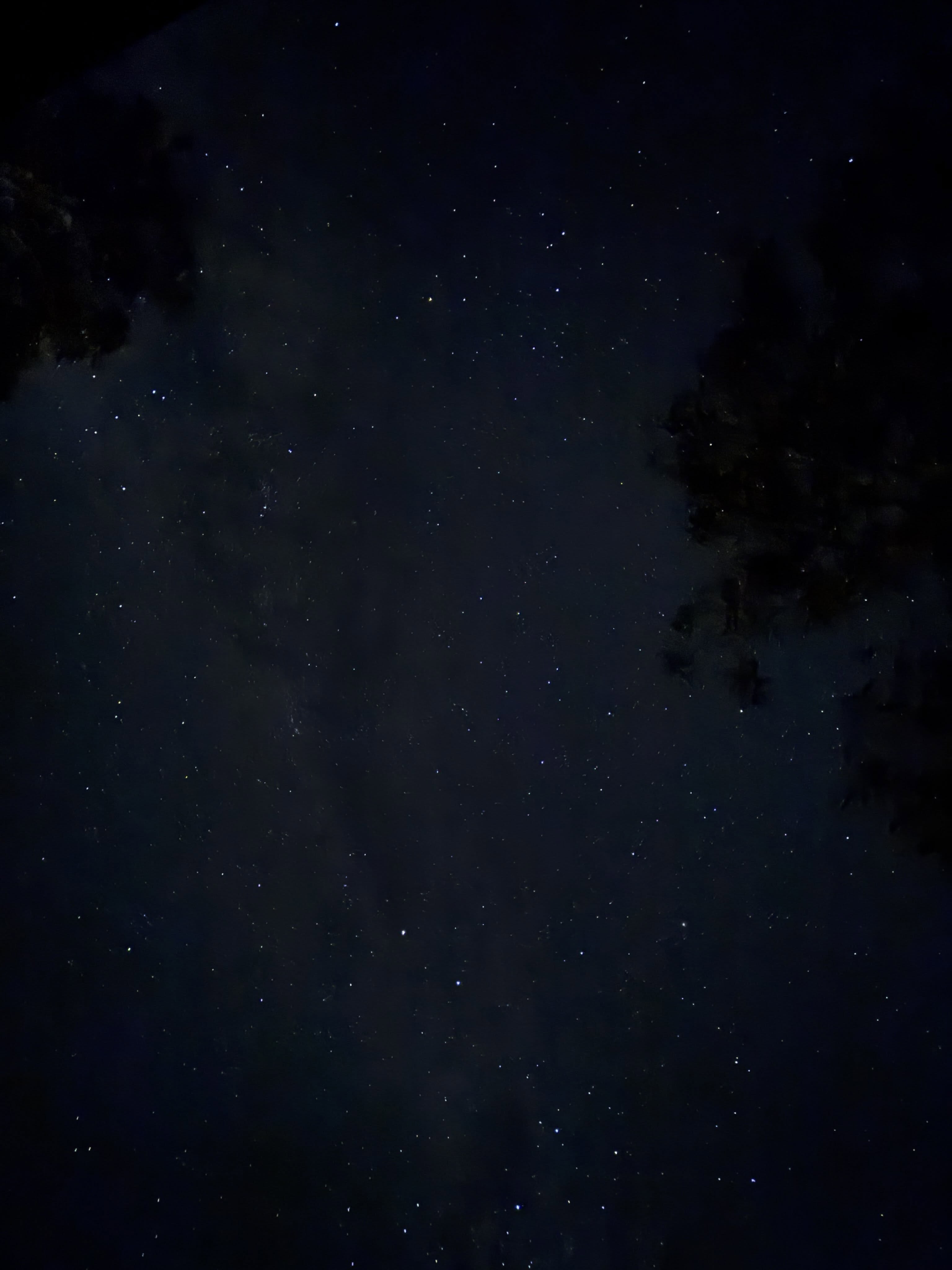 Tonight’s sky at home in #leura
Just wow! ✨
