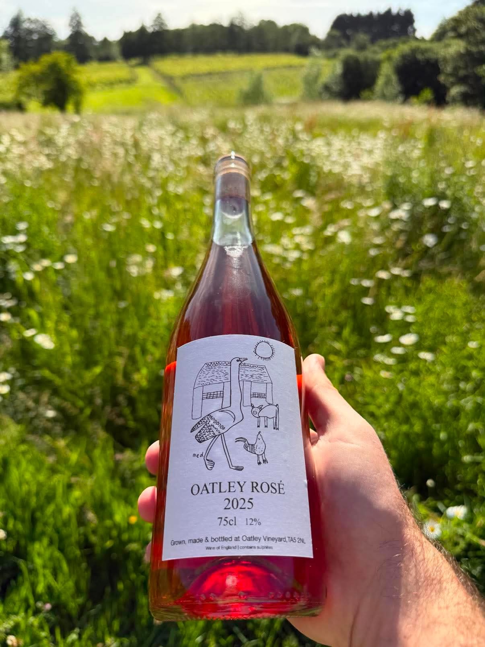 🌸 SOLD OUT! Sorry, folks, it’s flown off the shelves. All gone. More next year, we hope 🤞🌸