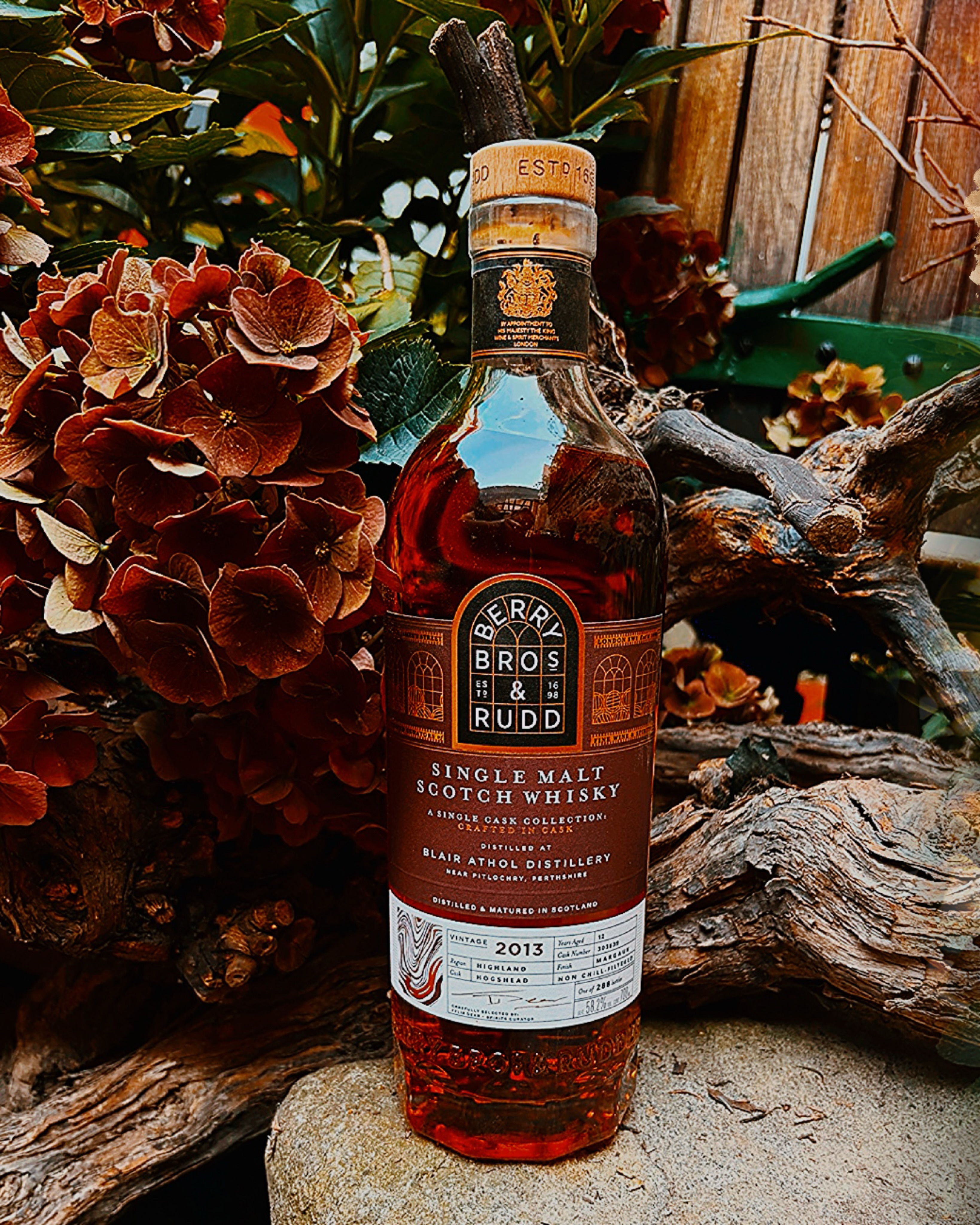 This Sunday in the glass: Blair Athol 12 Year Old from Berry Bros. & Rudd, finished in a Margaux cask.
This is one of those combinations that immediately makes me curious. Blair Athol and wine casks almost always work really well for me, and Margaux casks in whisky tend to catch my attention anyway. In this case, a sample turned into a full bottle pretty quickly.
On the nose, something reminds me of caramel biscuits, with blackcurrant coming through very clearly, plus apple, pear and a little citrus. On the palate, it is sweet, malty and dark-fruity, with toffee, spiced oak and a touch of wine-cask influence. The finish stays warm and balanced with red fruit, herbs and toasted oak.
Nose: caramel biscuit, blackcurrant, apple and pear.
Palate: dark berries, malt, spiced oak.
Finish: red fruit, herbs, toasted oak.
BLAIR ATHOL + WINE CASK: instantly your thing?
Unpaid advertisement. Enjoy alcohol responsibly and only if you’re of legal drinking age.
__________________
Diesen Sonntag im Glas: Blair Athol 12 Jahre von Berry Bros. & Rudd, gefinished in einem Margaux-Fass
Das ist für mich eine Kombination, bei der ich sofort neugierig werde. Blair Athol und Weinfass funktioniert für mich eigentlich immer richtig gut, und Margaux-Fässer machen mich bei Whisky ohnehin schnell neugierig. Hier wurde aus einem Sample dann ziemlich direkt eine Großflasche.
In der Nase erinnert mich etwas an Karamellkeks und sehr präsent dann schwarze Johannisbeere, dazu: Apfel, Birne und etwas Zitrus. Am Gaumen ist er süß, malzig, dunkelfruchtig und bringt Toffee, würzige Eiche und etwas Weinfass. Das Finish bleibt warm und ausgewogen mit roter Frucht, Kräutern und gerösteter Eiche.
Nase: Karamellkeks, schwarze Johannisbeere, Apfel und Birne.
Gaumen: dunkle Beeren, Malz, würzige Eiche.
Abgang: rote Frucht, Kräuter, geröstete Eiche.
BLAIR ATHOL + WEINFASS: sofort dein Ding?
Unbezahlte Werbung. Alkohol nur ab gesetzlichem Mindestalter und in Maßen genießen.
#whisky #blairathol #singlemalt #winecaskfinish #berrybrosandrudd