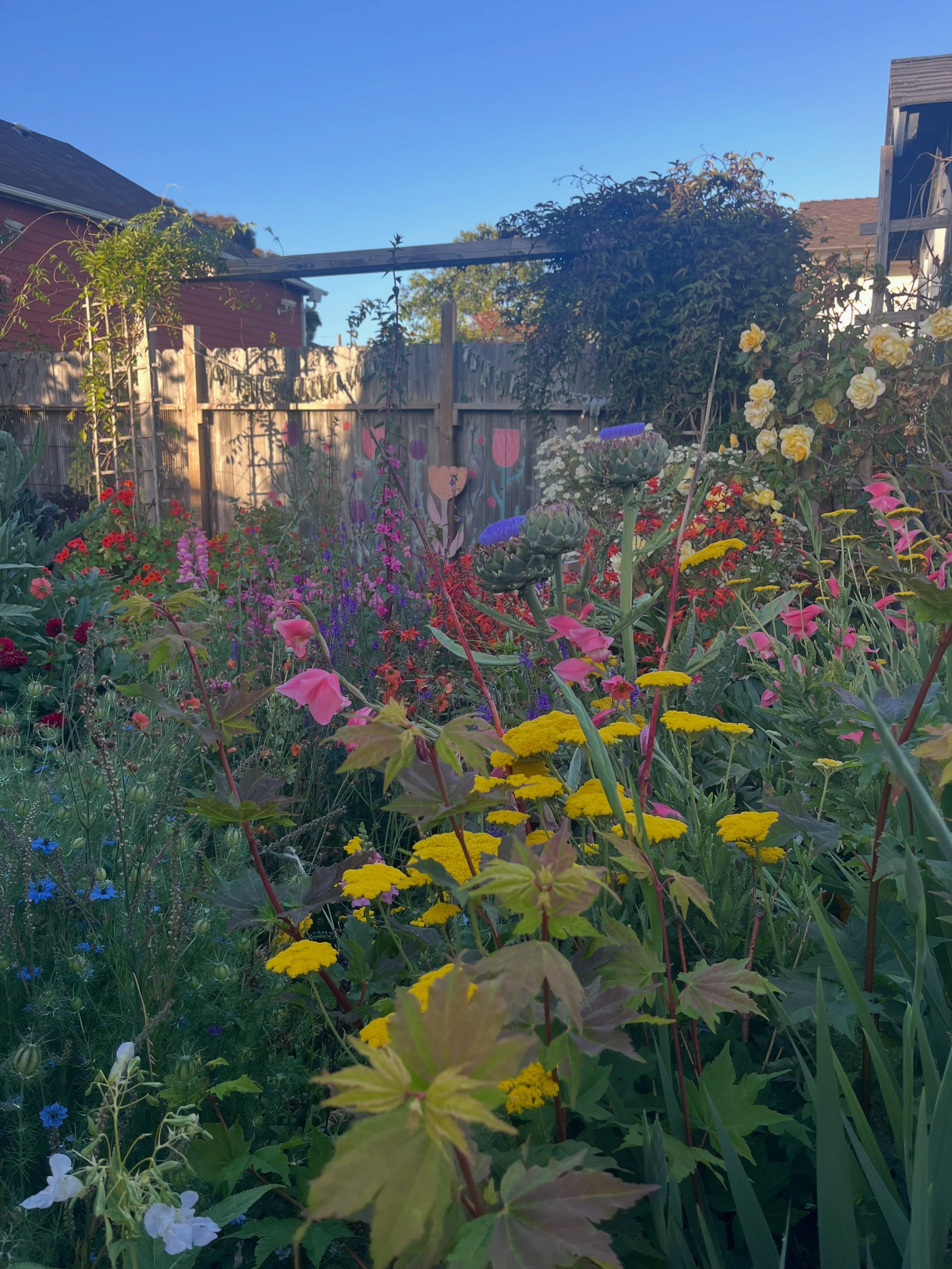 The garden is popping and I just had to share! ❤️
.
.
.
#garden #gardening #flowers #summer #california