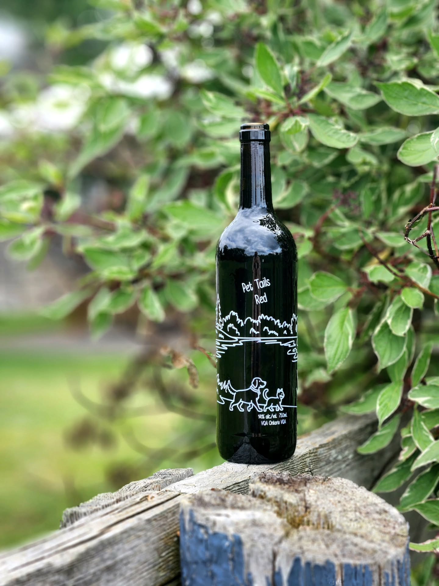 Introducing Pet Tails Red & Pet Tails White
Two new wines with one meaningful mission.
Created in partnership with Can Pet, every bottle of Pet Tails Red and Pet Tails White helps make a difference for animals in need. With $5 from every bottle sold donated to Can Pet Cares, your purchase supports local Humane Societies and the animals in their care.
Great wine has the power to bring people together, and now, it can help give pets a brighter future, too.
Raise a glass. Change a life.
Available now in our winery boutique.
#WaupoosWinery #PetTailsWine #OntarioWine #PrinceEdwardCounty #PECWine