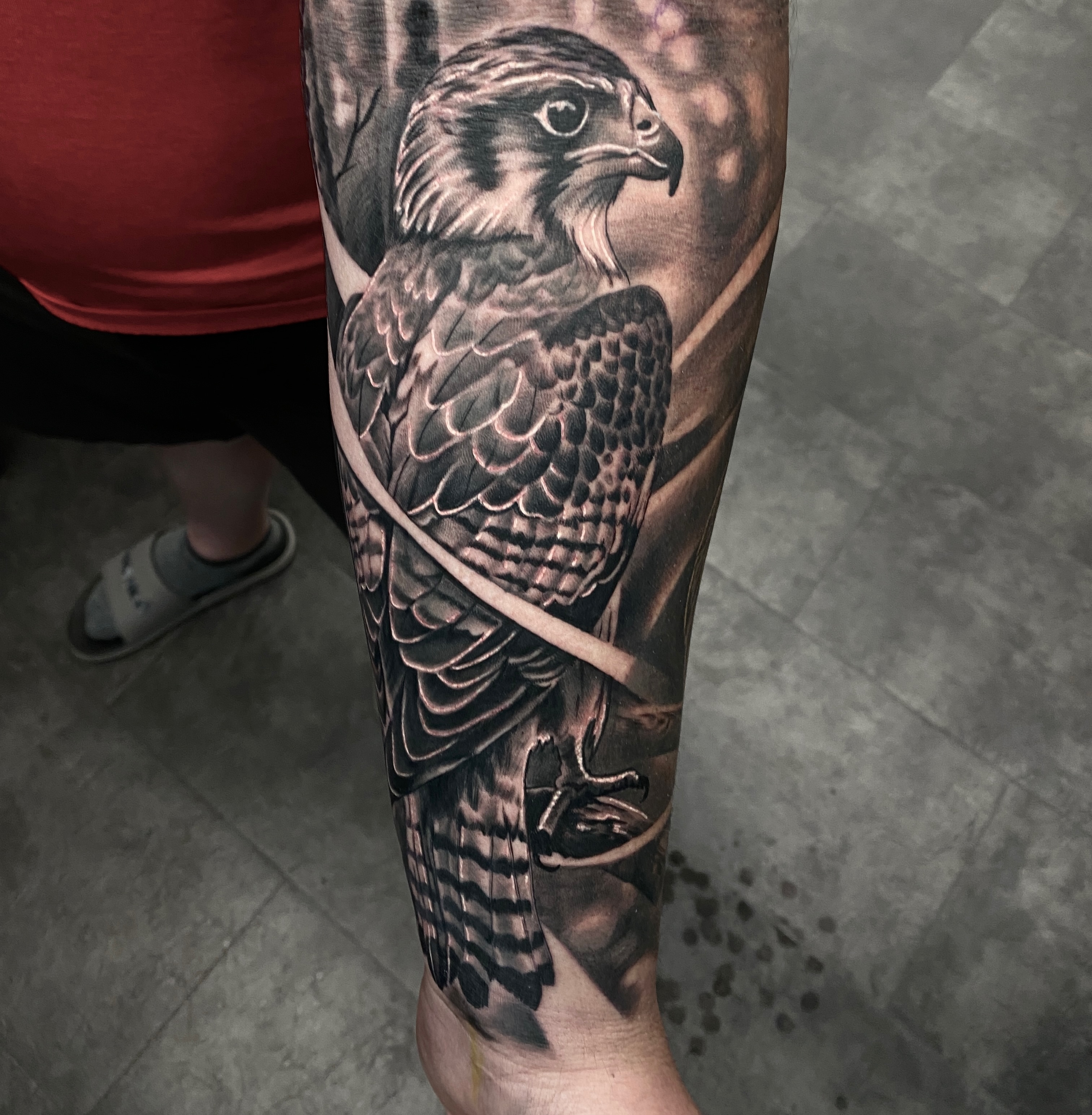 I LOVE TATTOOING BIRDS!
Not like tattoos on birds, that's cruel. Just like tattoos of birds, on people. Just to clear up any confusion... 😅
.
.
Follow @scottie.tattooer
And @fortunesfavourtattoo
.
.
#birdtattoos #falcon #birdsofprey #instagrambirds #birdsofinstagram