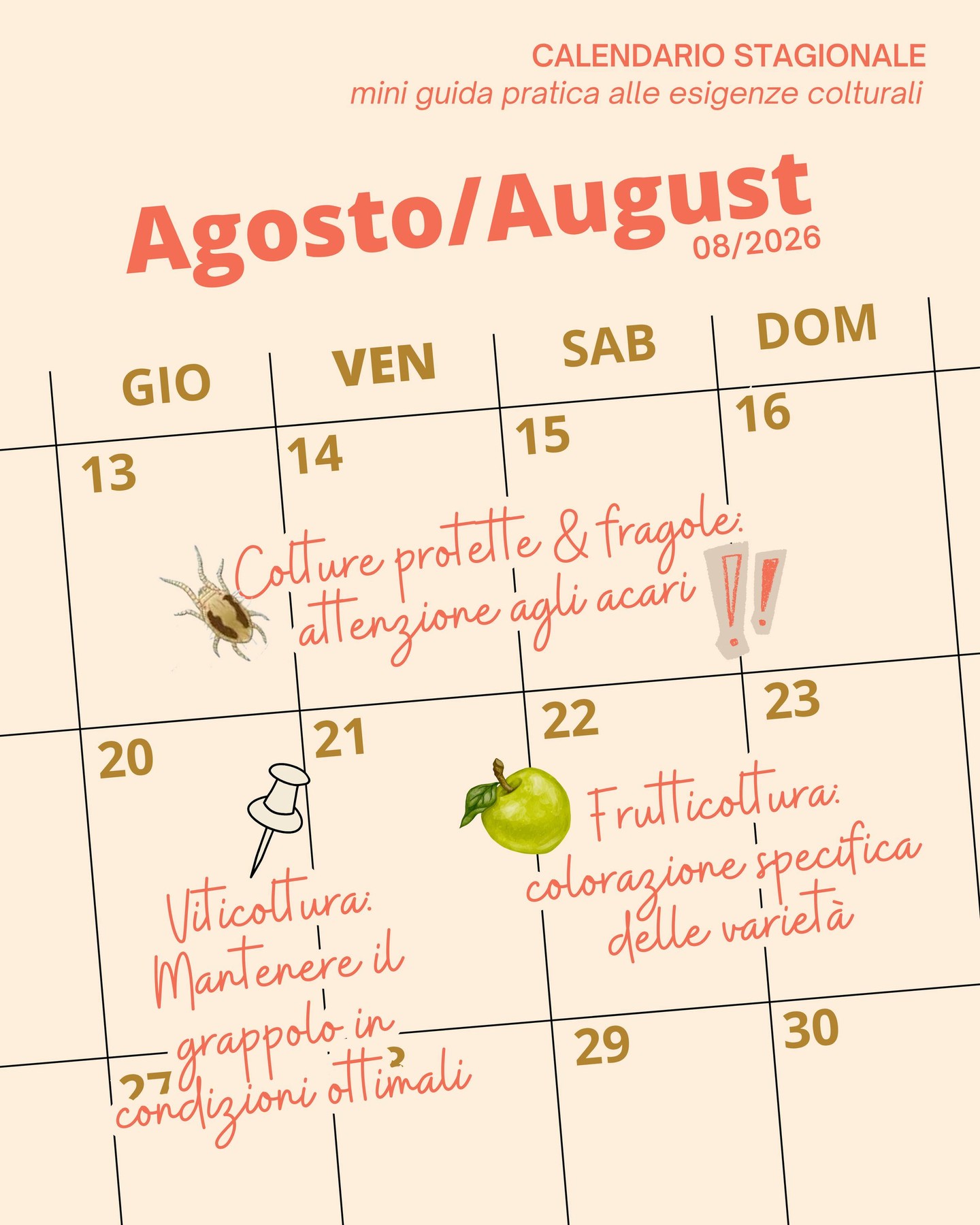 Il sole di agosto porta colore e gusto. ☀️
#intactsolutions #highperformingcrops