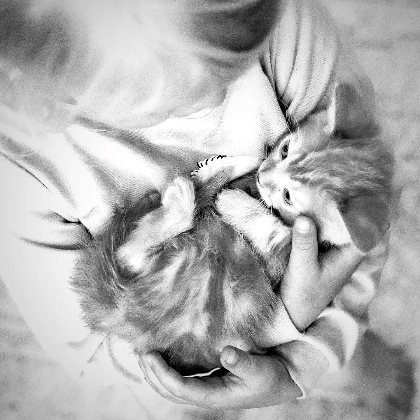 Just a super sweet kiddo holding her super sweet baby.