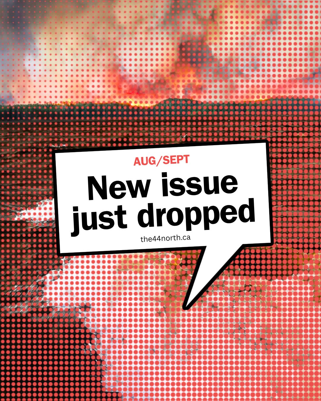 The August/September issue is here, exploring everything from global politics to climate change and eugenics. You know...easy breezy kind of stuff.
Our writers explore gender roles in the context of the 'manosphere' in "Dinner Isn't Debt: What paying the bill reveals about romance, power, and control". They explore the resurgence of eugenics through "It’s in our DNA: The Resurgence of Eugenics & Health Propaganda". They explore the environmental cost of war through "Youth care about the environmental cost of war, even if the full story behind the impacts of conflict on the climate aren’t shared with them".
As always, we're proud to challenge perspectives and amplify youth voices, that build more informed, compassionate communities. The latest issue is available now - 🔗 LINK IN BIO 🔗
👉 The 44 North is a digital bi-monthly publication dedicated to informing, empowering, and amplifying youth voices. Want to write for us or support young storytellers? Check the 🔗 LINK IN BIO 🔗👈