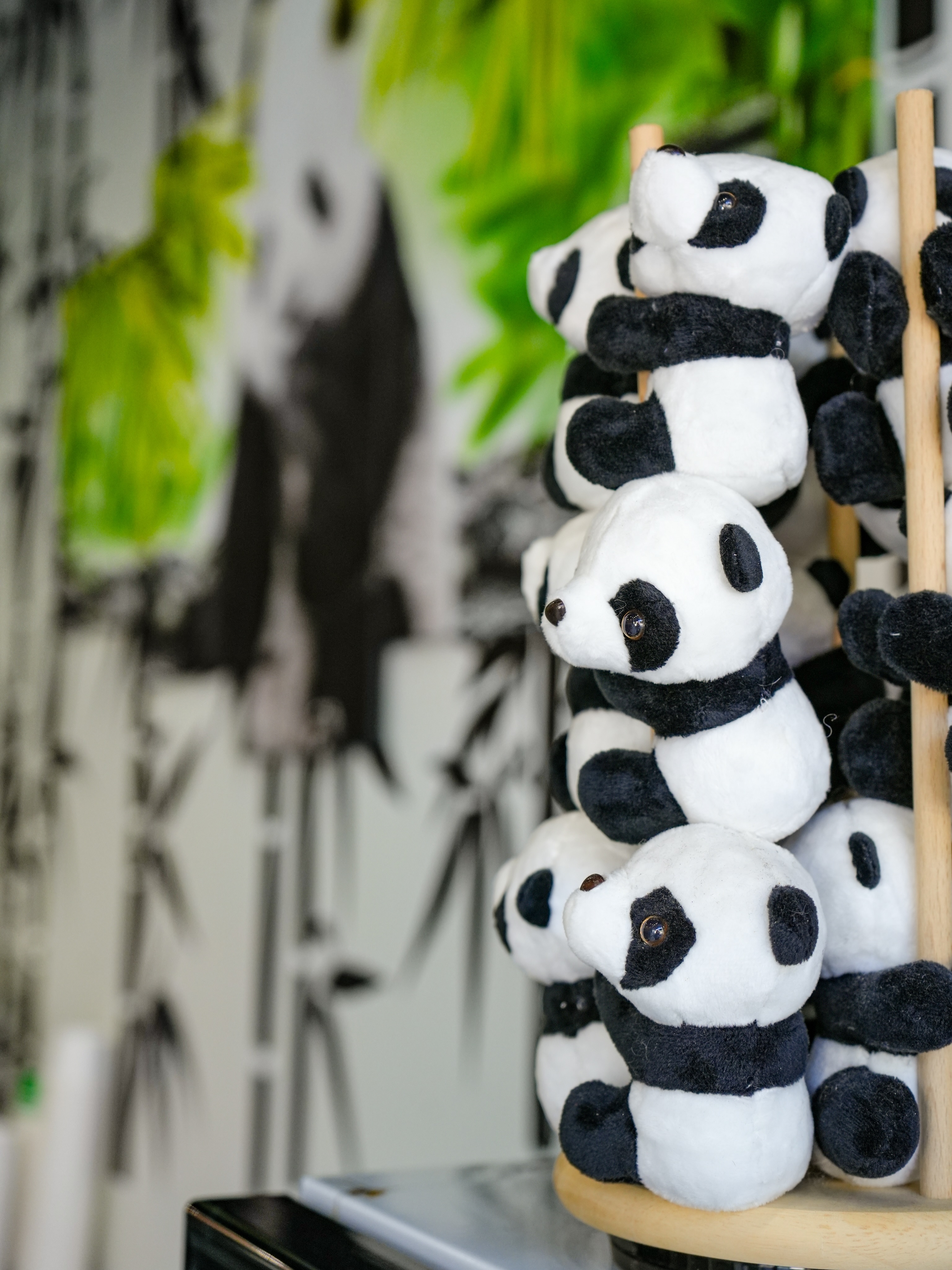 A sweet treat and a cuddly surprise?
That’s a win-win. 🐼🍦
Stop by FrozenYo and take home one of our adorable mini panda plushies while you’re here. They’re the perfect companion for your next frozen yogurt adventure!
#FrozenYoDC #PandaLove #NationalZoo #FrozenYogurt #SweetTreat