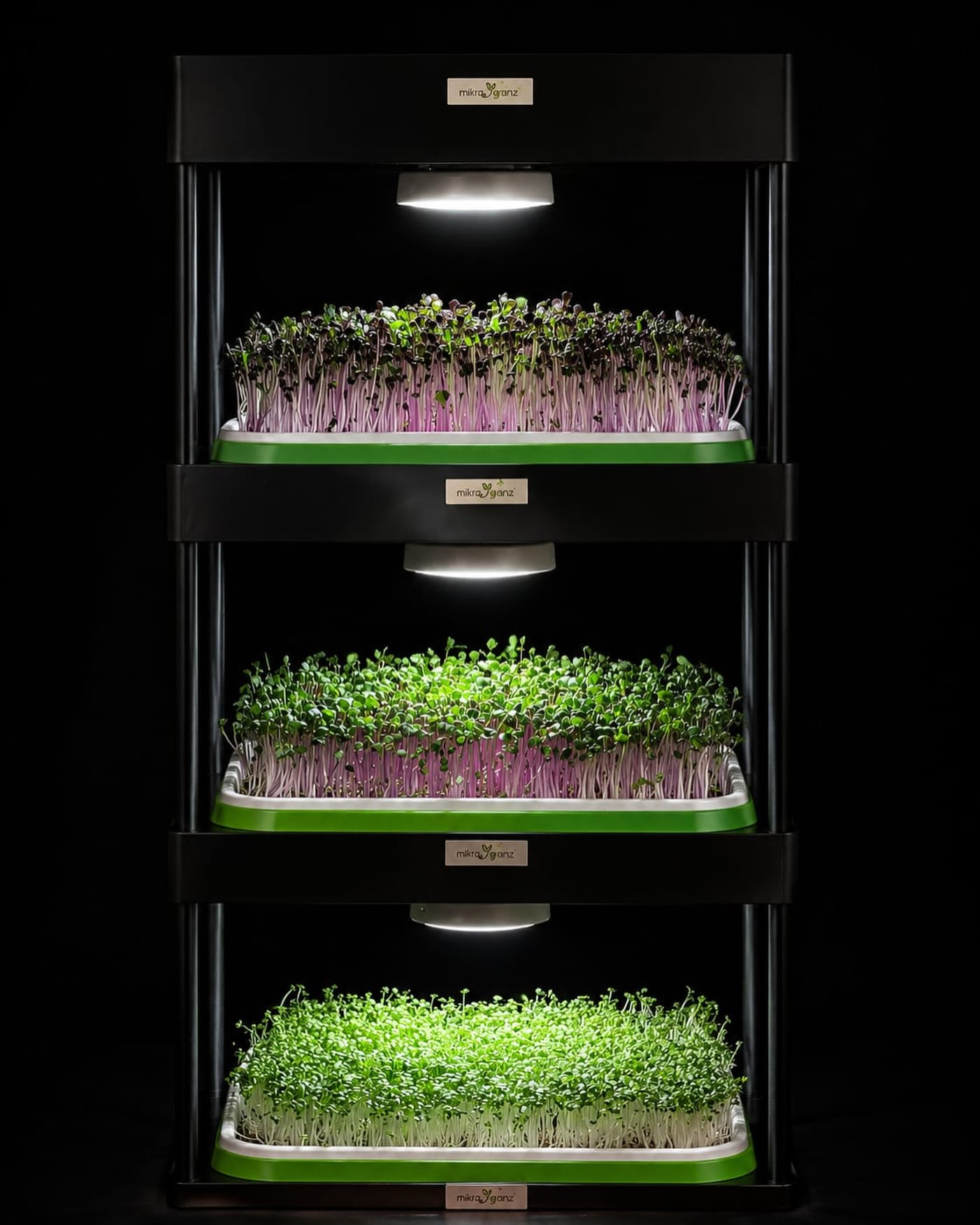 Microgreen Family and business kit @5999 with training