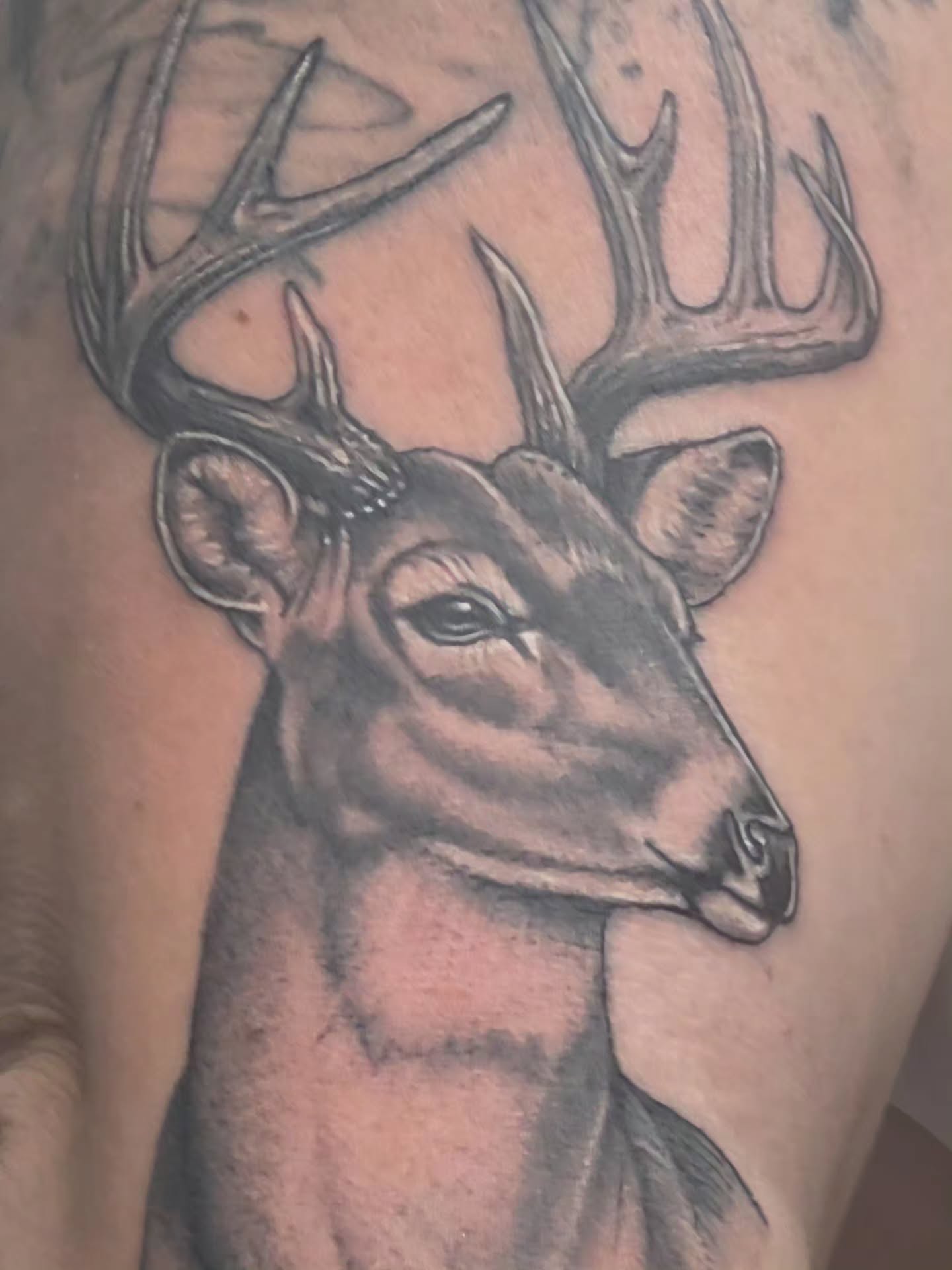 Tattoo Aftercare
Purpose: Nourish, protect, and soothe fresh or existing tattoos.
Application Instructions:
Clean the tattoo gently with fragrance-free soap and warm water.
Pat dry using a clean towel.
Apply a thin layer of the balm using clean hands.
Reapply whenever the skin feels dry or as often as needed.
#tattoo #deer #yemaya #tattooaftercare #ointment