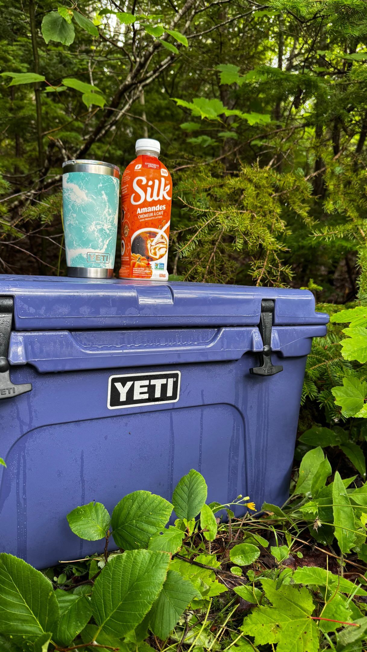 Summer camping.
Fall vibes.
I refuse to participate in seasonal boundaries; especially when it comes to coffee.
🍂🏕️☕️
#pumpkinspiceseason #campingseason #mindfulness @yeti @silk