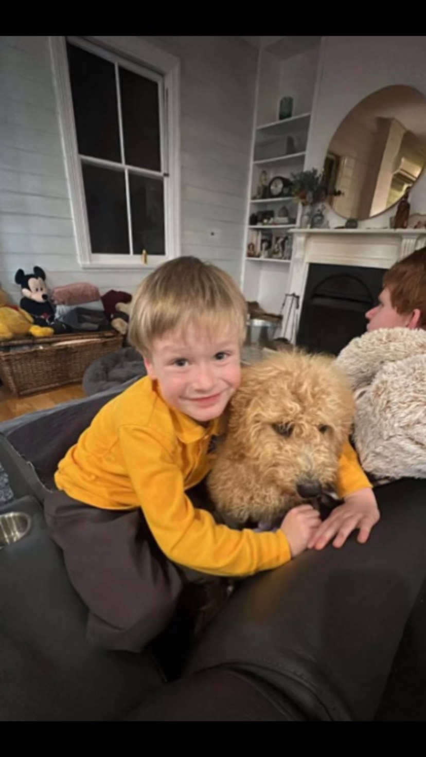 Toni’s beautiful Clare, a sweet female Labradoodle who’s already stealing hearts. With her curls, her charm, and her playful spirit, she’s the perfect companion. Loved, adored, and thriving every single day.
#puppiesdownunder #clarethelabradoodle #labradoodlejoy #aussiedogs #BR100575