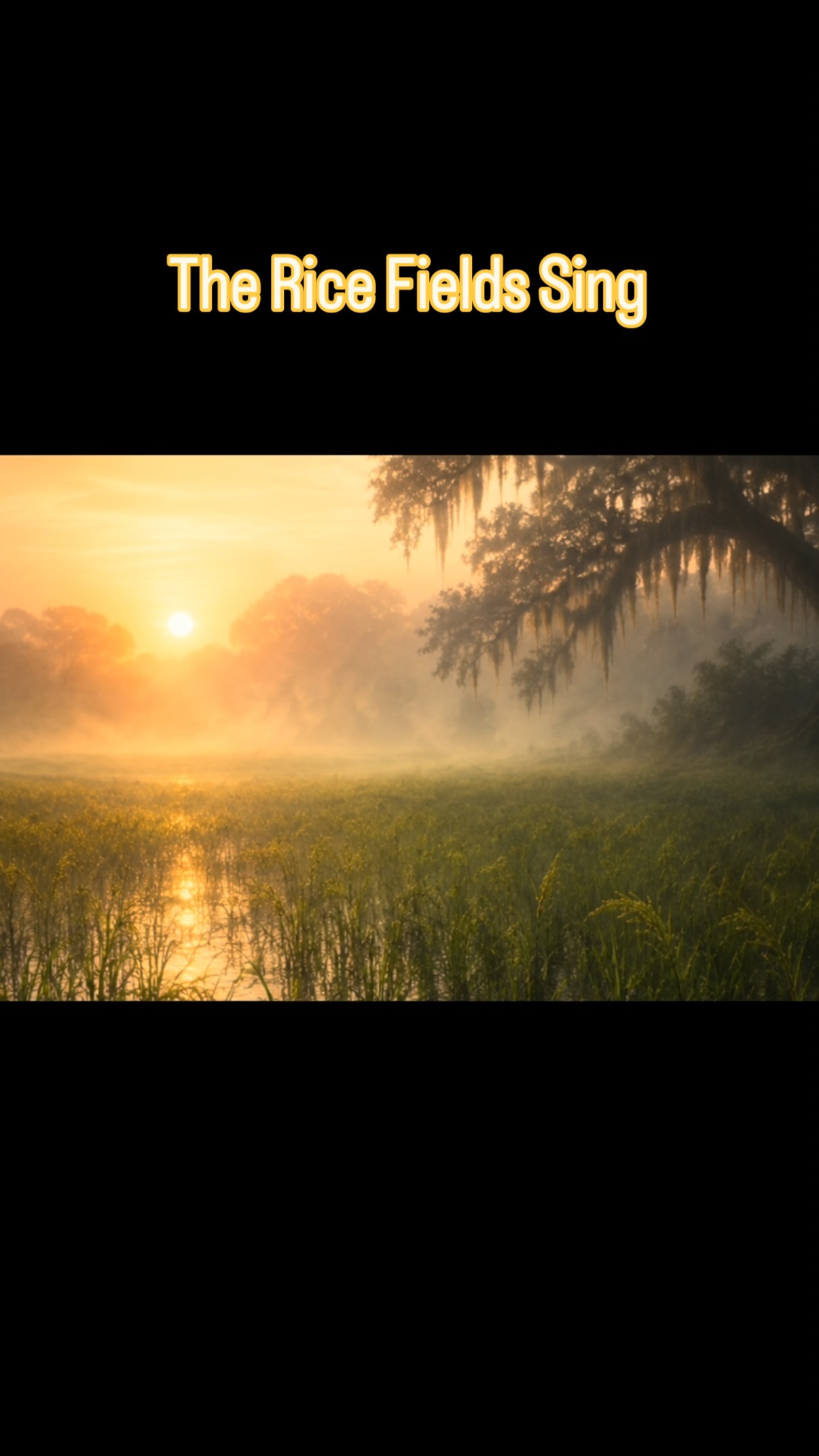 The Rice Fields Sing (c) 2025
This poem was inspired by my 2025 visit to @brookgreen_gardens. It is the site of a former Rice Plantation.
The sound of the rice swaying as I sat on the wooden fence, closed my eyes and connected to what was before became a soundtrack to words that spilled forth.
An exhibit within Brookgreen highlights the Gullah/Geechee people, many of which worked on Rice Plantations. They are the descendants of African tribes who were rice farmers and not only used for their physical labor but their knowledge of successful crop growth.
I want to teach you how to tap into our history through primary sources and creative writing. Sign up for my upcoming live classes, Poetry and Primary Sources.
http://bit.ly/PoetryandPrimarySources
#poetryandprimarysources #poetry #philly #blackhistory #philadelphia
