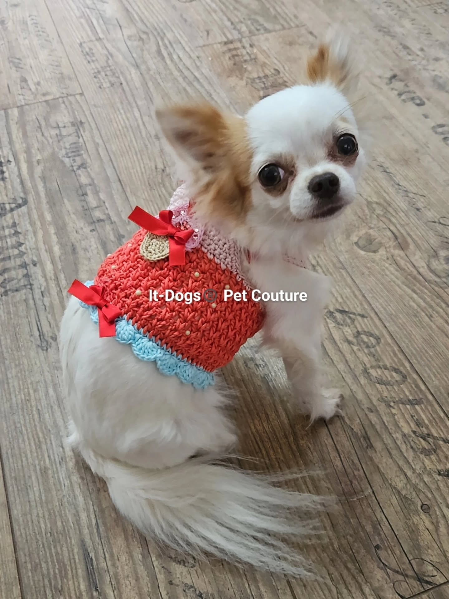 Lovely cotton top 😍
Freshness,comfort&beauty for your pet
100% egyptian makò cotton
100% handmade in Italy by italians
100% unique design
❤️🇮🇹
#itdogs #italianstyle #dogshop #shoppingonline #onlineshopping
Dog. Pet. Style. Italianstyle. Luxury.