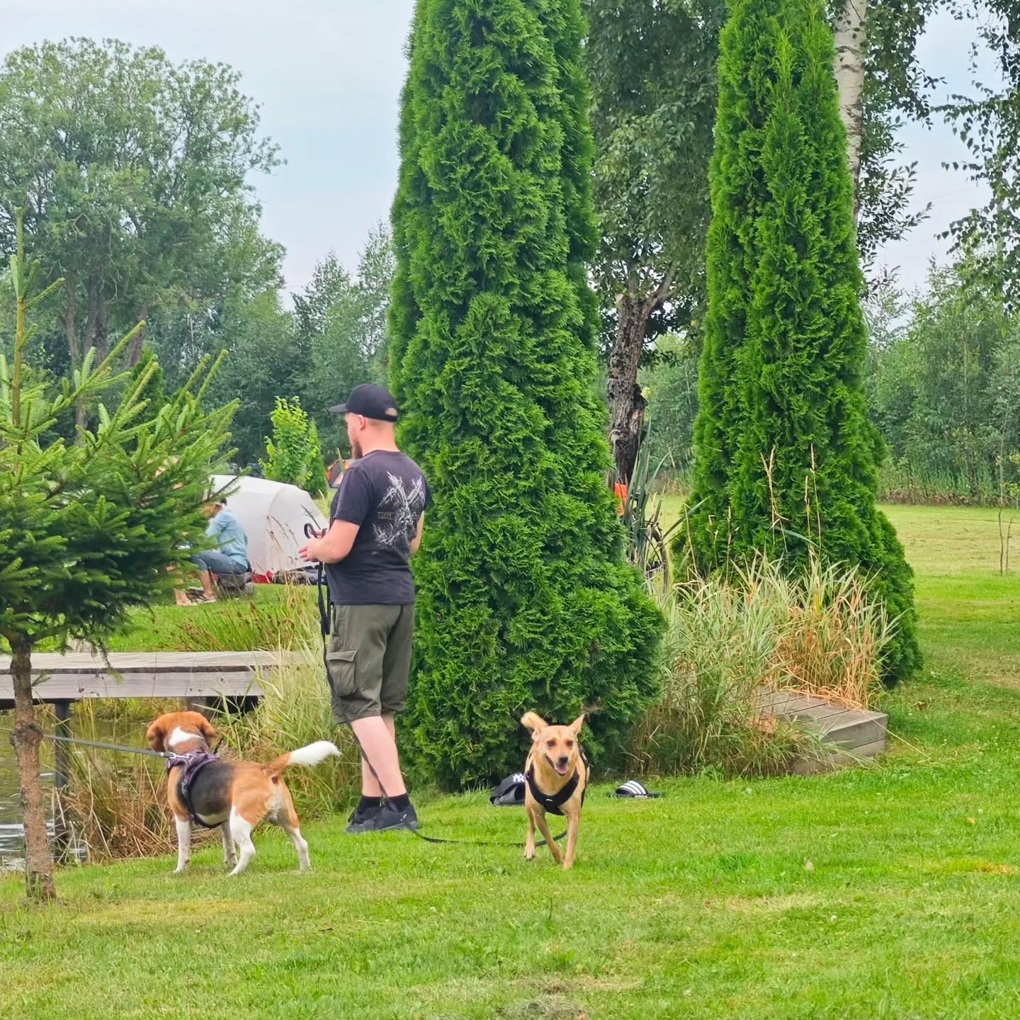 Four-legged guests are always welcome 🐾
#petfriendlycamping #petfriendly #campingsummer #lithuaniancamping #campingwithdogs