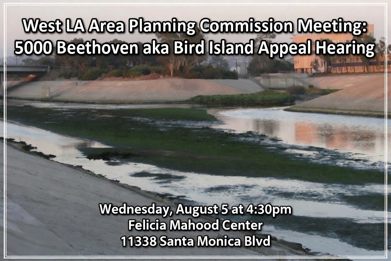 The LA City Planning Department will hold a public meeting to consider the appeal to the conditional approval given to the proposed private street access to the 5000 Beethoven aka “Bird Island” site, on Wednesday, August 5 at 4:30pm at the Felicia Mahood center at 11338 Santa Monica Blvd. Zoom link is also available. Refer to the agenda at planning.lacity.org. Del Rey stakeholders are encouraged to attend the meeting and give public comment.