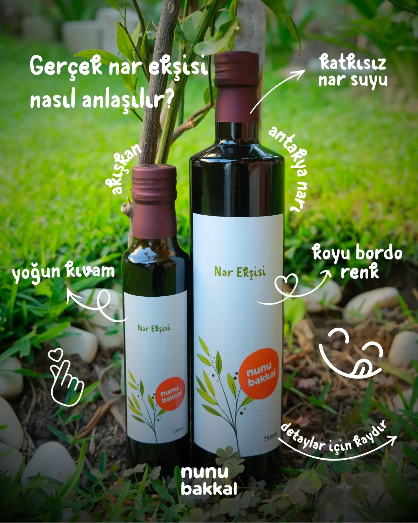 Nar ekşisi hakkında bildiklerinizi unutun. Doğrularla geldim 💚
Nar ekşisi alırken çoğumuz yanlış olanı seçiyoruz hem de yanlış bildiğimiz şeyler yüzünden. 🍷
Mesela: Koyu renk ve taş gibi kıvam kalite sanılır. Oysa ikisi de çoğu zaman narın değil, eklenen şekerin işaretidir. Gerçek nar ekşisi koyu bordo tonunda, akışkan ve dengeli bir tada sahiptir — ne şeker gibi tatlı, ne de tadılmayacak kadar keskin.
En kesin yol ise etiket: içinde sadece "nar suyu" yazmalı. Glikoz şurubu, şeker, sitrik asit ya da aroma verici varsa o bir "nar ekşisi sosu"dur, nar ekşisi değil.
Bizimkinde tek bir şey var: nar suyu. Antakya'nın narından, katkısız, olduğu gibi. Ne ekledik, ne çıkardık.
Kaydırın 👉 iyi nar ekşisini ayırt etmenin 5 yolunu bıraktık. Bir dahaki alışverişte işinize yarayacak.
Şimdi rafta.
nunubakkal.com 🌿
#narekşisi #katkısız #antakya #etiketokuma #katkısız