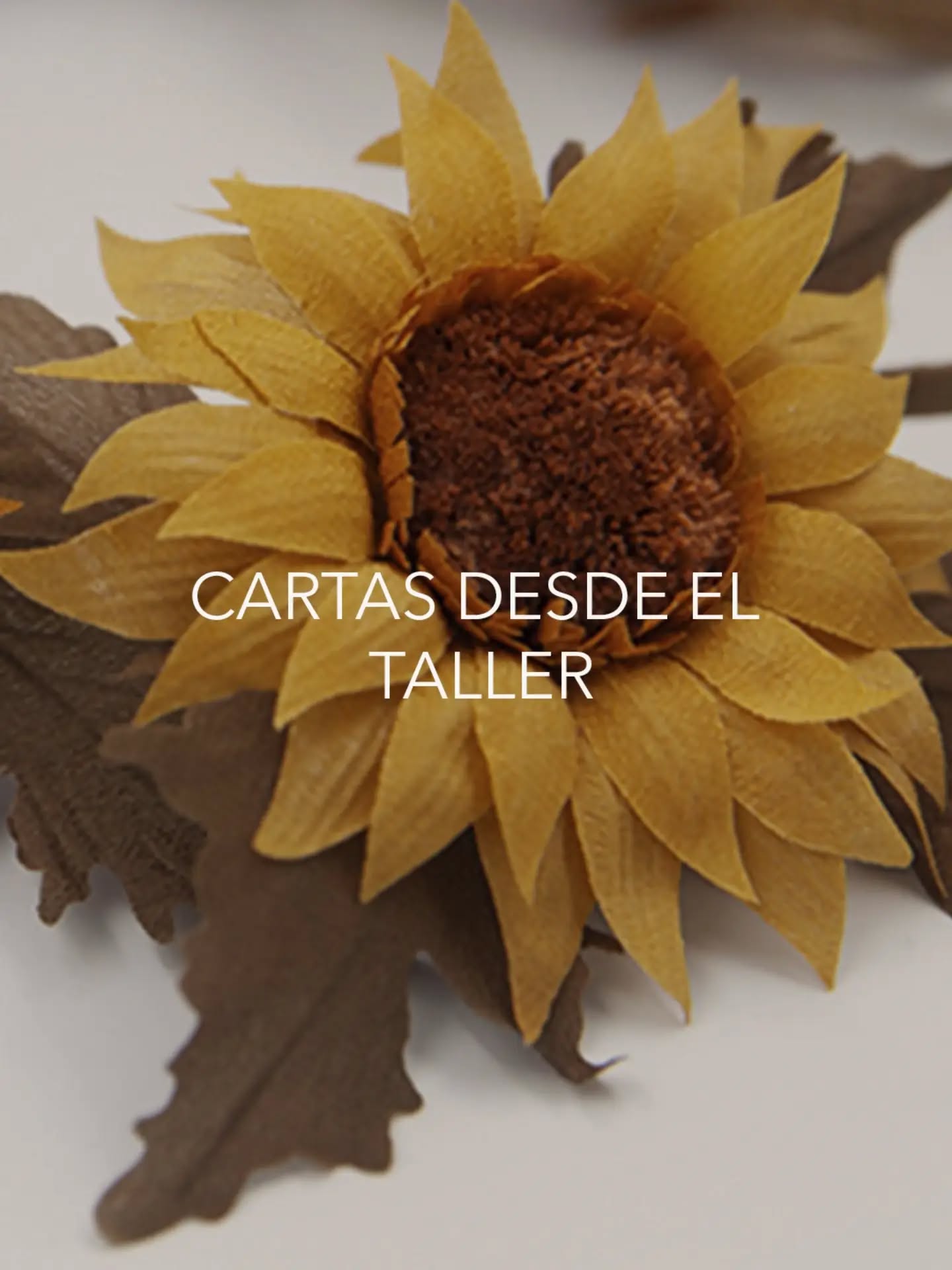 Cartas desde el Taller nace para quienes desean entrar más despacio en este universo.
Hay procesos, materiales, hallazgos y reflexiones que no siempre encuentran su lugar en Instagram. Por eso necesitaba un espacio más íntimo y más sereno donde compartir lo que ocurre en el taller sin el ruido de las redes.
Será una correspondencia para hablar de materia, proceso, piezas, archivo y futuros talleres y experiencias. Un lugar donde contar con más calma lo que aquí a veces solo se intuye.
Solo escribiré cuando haya algo verdaderamente bello que contar.
Si quieres formar parte, puedes unirte desde el enlace de la bio.
#artesaniacontemporanea
#tintesnaturales
#floresdealtacostura
#biomateriales