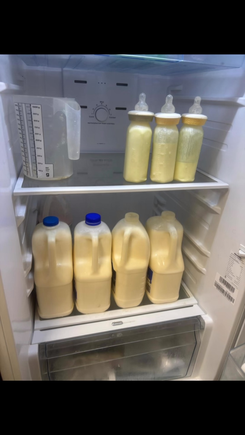All set for tonight’s bottle‑feeding! Every drop prepared with care, love, and dedication, because raising happy, healthy pups starts with moments just like this. It’s the behind‑the‑scenes work that makes all the joy possible.
#puppiesdownunder #bottlefeedingtime #puppycarelove #behindthescenesPD #BR100575