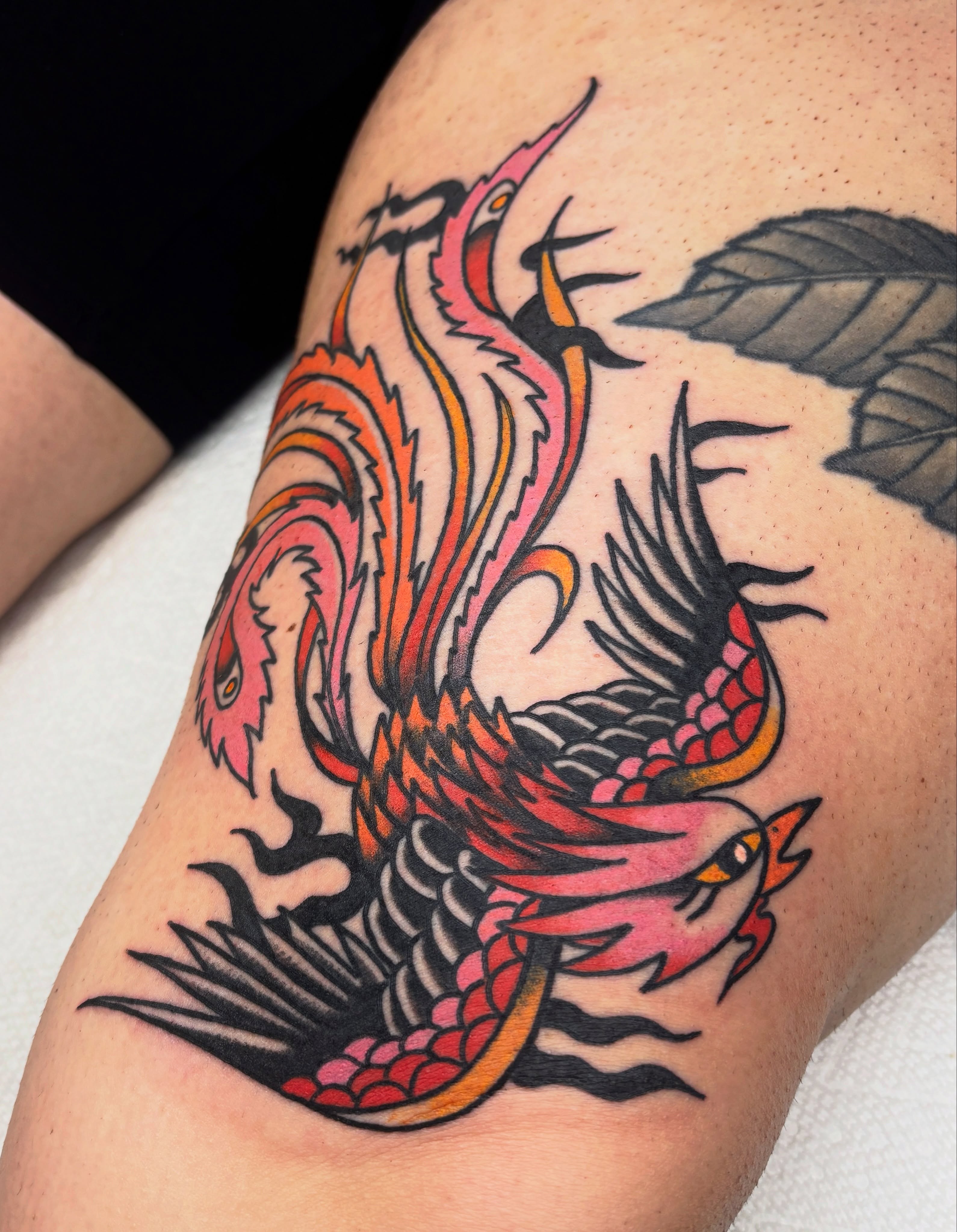 Sunset phoenix for Caitlin, lovely to see you again🩷
#phoenix #phoenixtattoo #torontotattoos #torontotattooartist