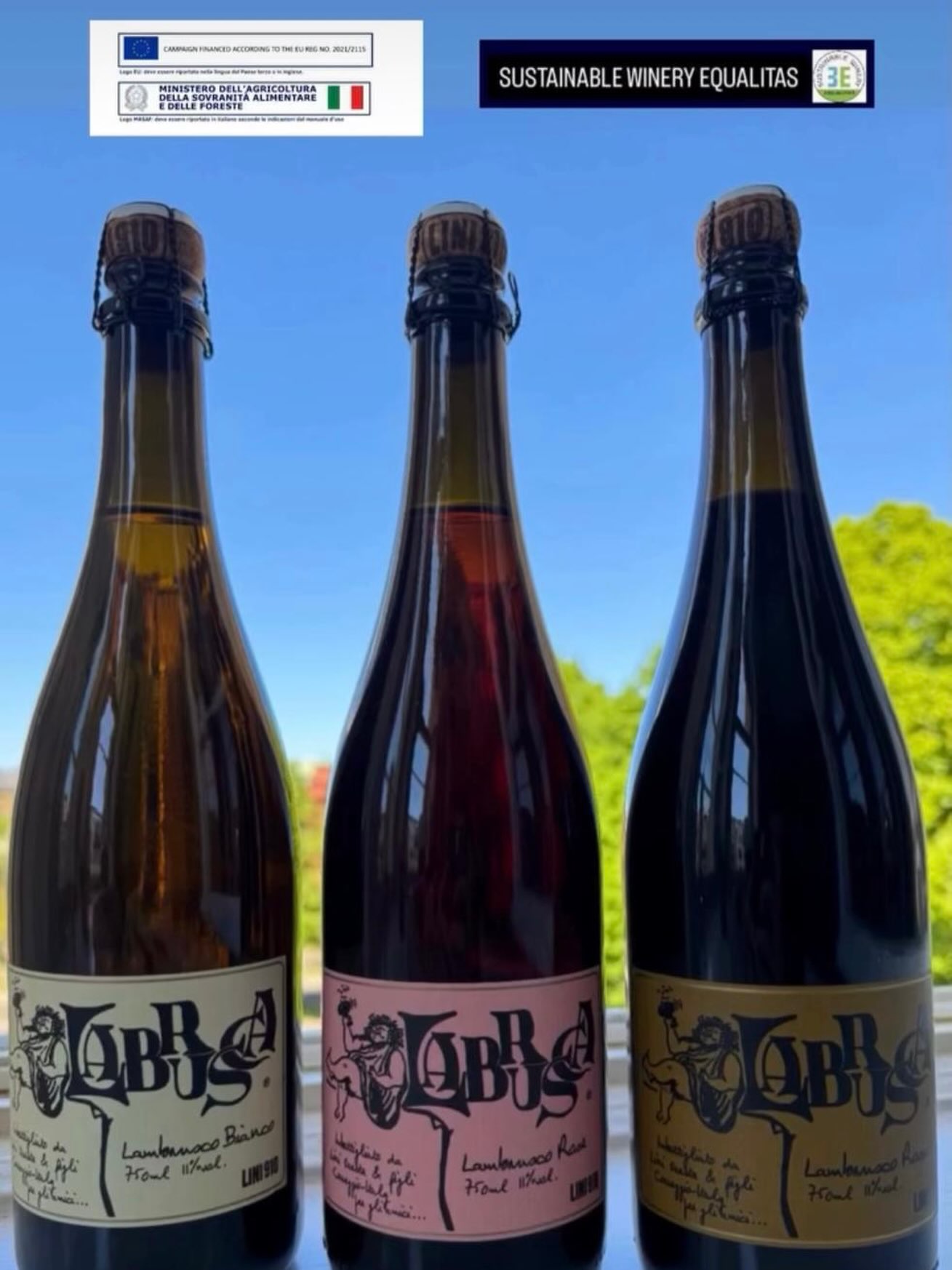 So many choices, so little time. Lini 910 Lambrusco from Emilia, with love. ✨
#lambrusco #sparklingwine #winelover #italianwine