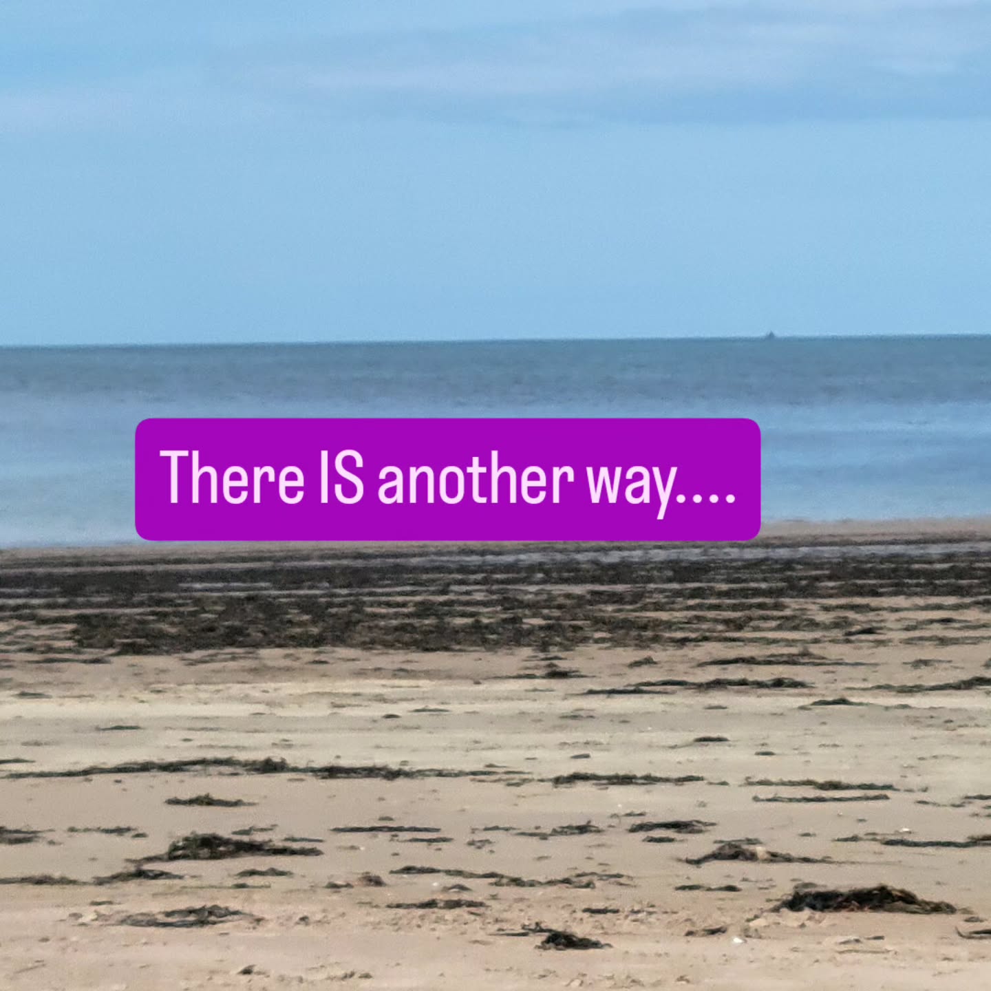 There IS another way
Have you had your bloods done and all is "normal"
Yet you have
🔸️ Low energy/ stamina
🔸️ Experience Broken Sleep
🔸️ Poor Digestion
🔸️ Fluctuating Moods
🔸️ Experiencing Unexplained Aches & Pains
#anotherway #holistic #tailoredhealthcare #homeopathy #Kinesiology