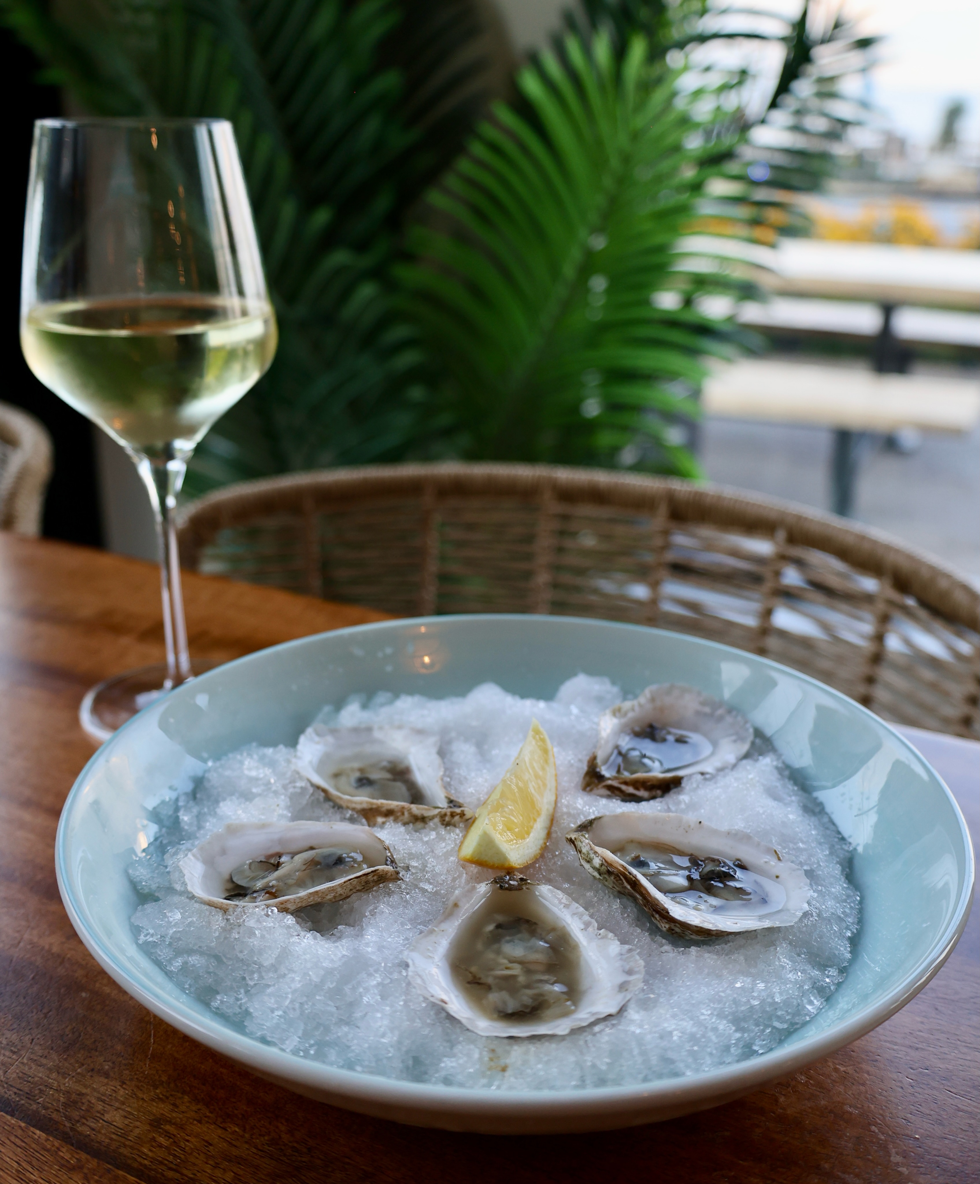 Nothing says lakeside dining quite like fresh oysters on ice and a glass of white. Join us at The Wave this week!
#marblehead #thewave #portclinton #lakesidedining #oysters