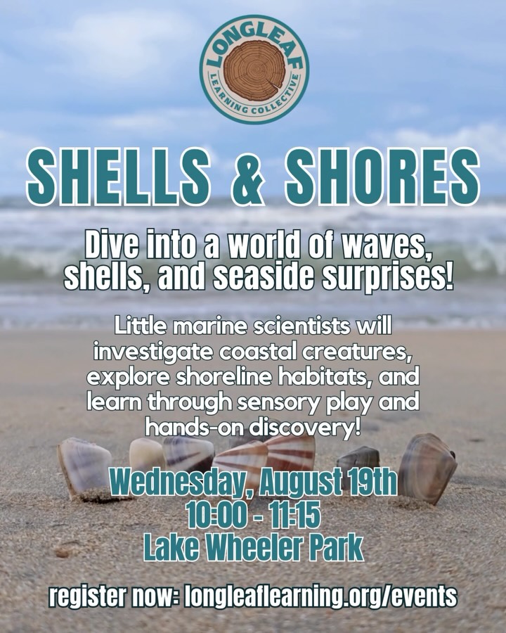 🐚 Why is the Scotch bonnet North Carolina’s state shell?
🐟 What creatures call our coast home?
🌊 How do waves shape our beaches?
🦀 What treasures can we discover along the shore?
At our Shells & Shores pop-up class, we’re bringing the magic of North Carolina’s coastline to life through hands-on activities, coastal science, and plenty of discovery.
Kids will become marine biologists for the day as they investigate shells, learn about coastal wildlife, and uncover the fascinating world of our state’s shores.
Perfect for curious kids 2-10 years old who love the beach, sea creatures, and asking big questions.
Register now: longleaflearning.org/events