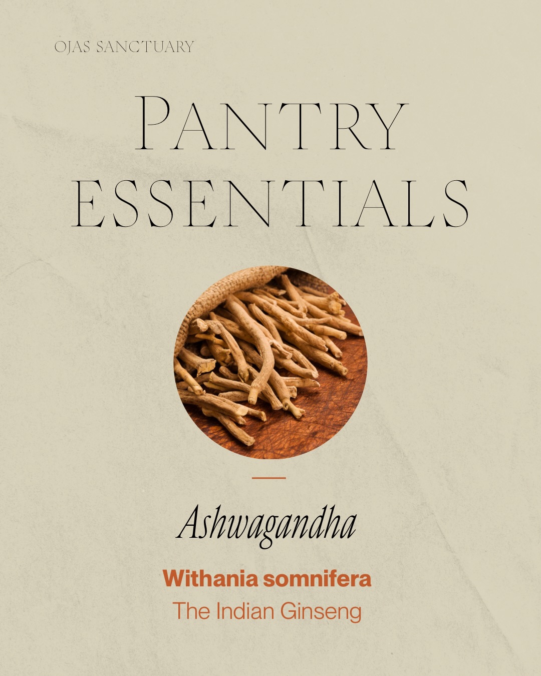 These are some of the herbs I use every day — simple, accessible and powerful. Here is why I recommend them.
Start with one. See how your body responds. Then add another.
Which of these are you already using? Tell me in the comments. 👇
As always, consult your Ayurvedic practitioner before adding new herbs to your routine.
#ayurveda #ashwagandha #turmeric #fennel #ayurvedahealing