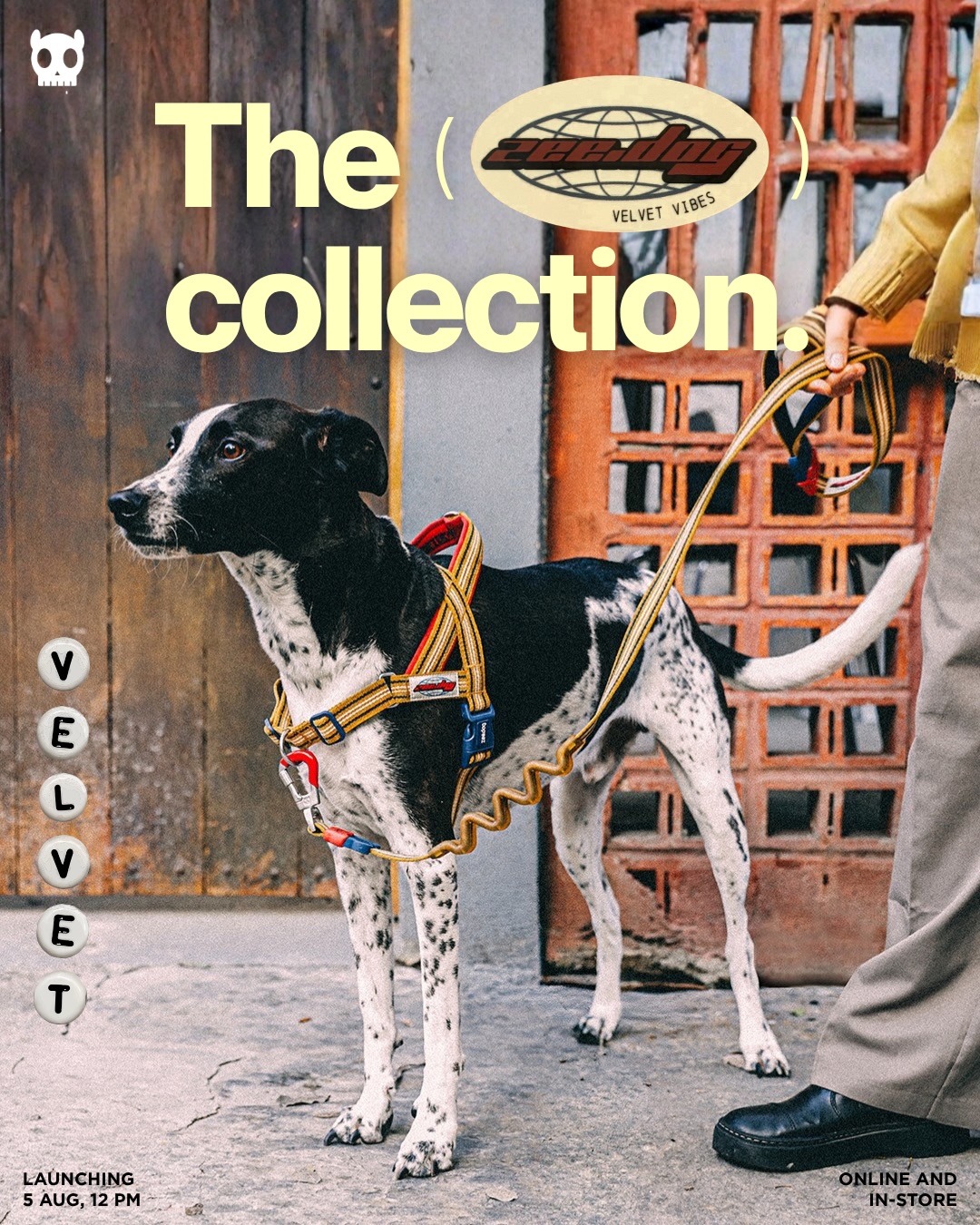 Everyday walks, reimagined.
Meet Zee.Dog Velvet Vibes — a collection made for pets that don’t follow trends, they start them.
Launching online and in-stores tomorrow, 5th August @howlisticlife on Shopee/ @zeedog on LazMall and at authorised retailers.
#zeedog #connectingdogsandpeople #singapore #sgdogs