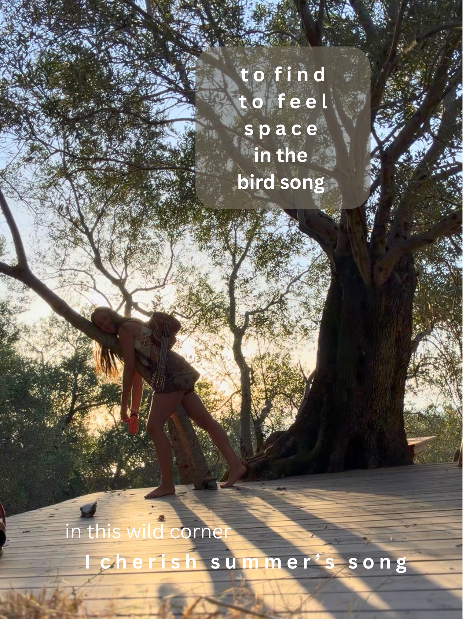 Thank you for the quiet wildness
woven into all things … did you sleep outside this summer… & where? 🐾
#naturelover
#olivetreesanctuary
#quietreminders
#musicinnature